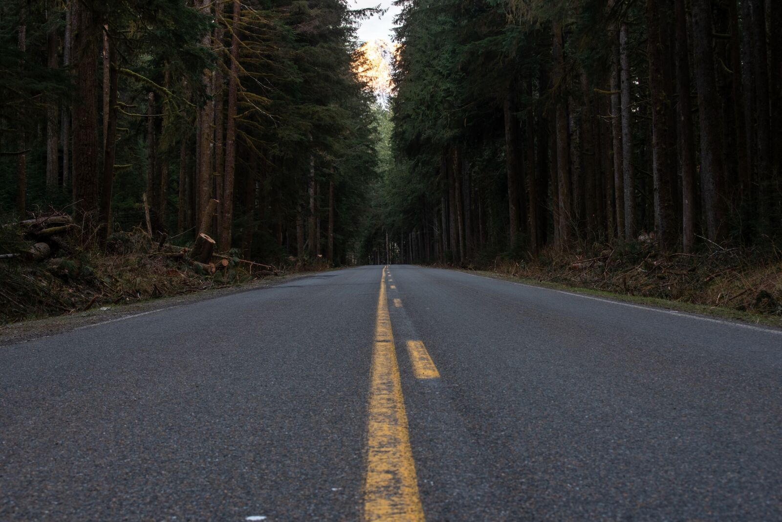 Nikon D750 sample photo. Road, travel, morning photography