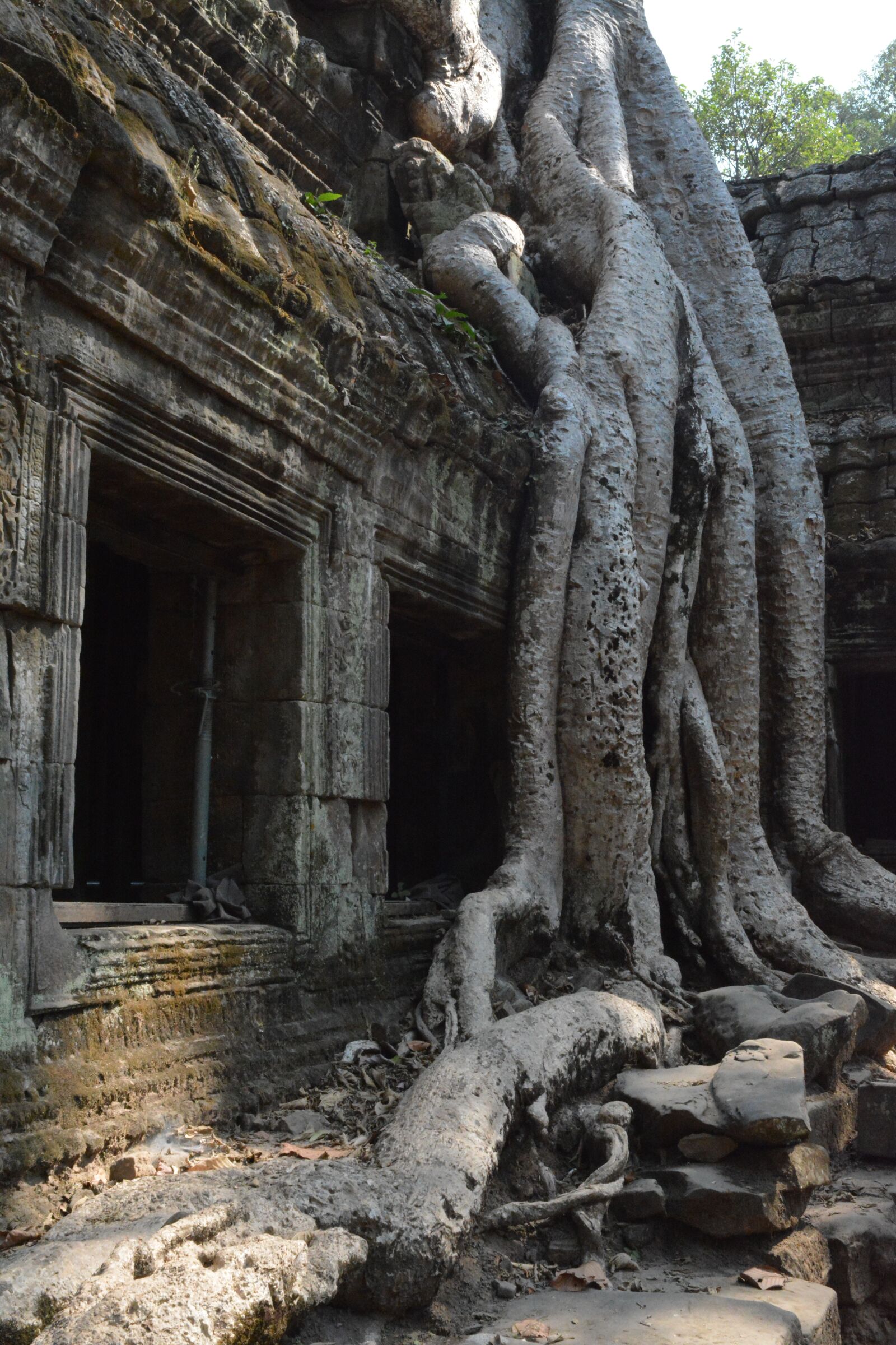Nikon D7100 sample photo