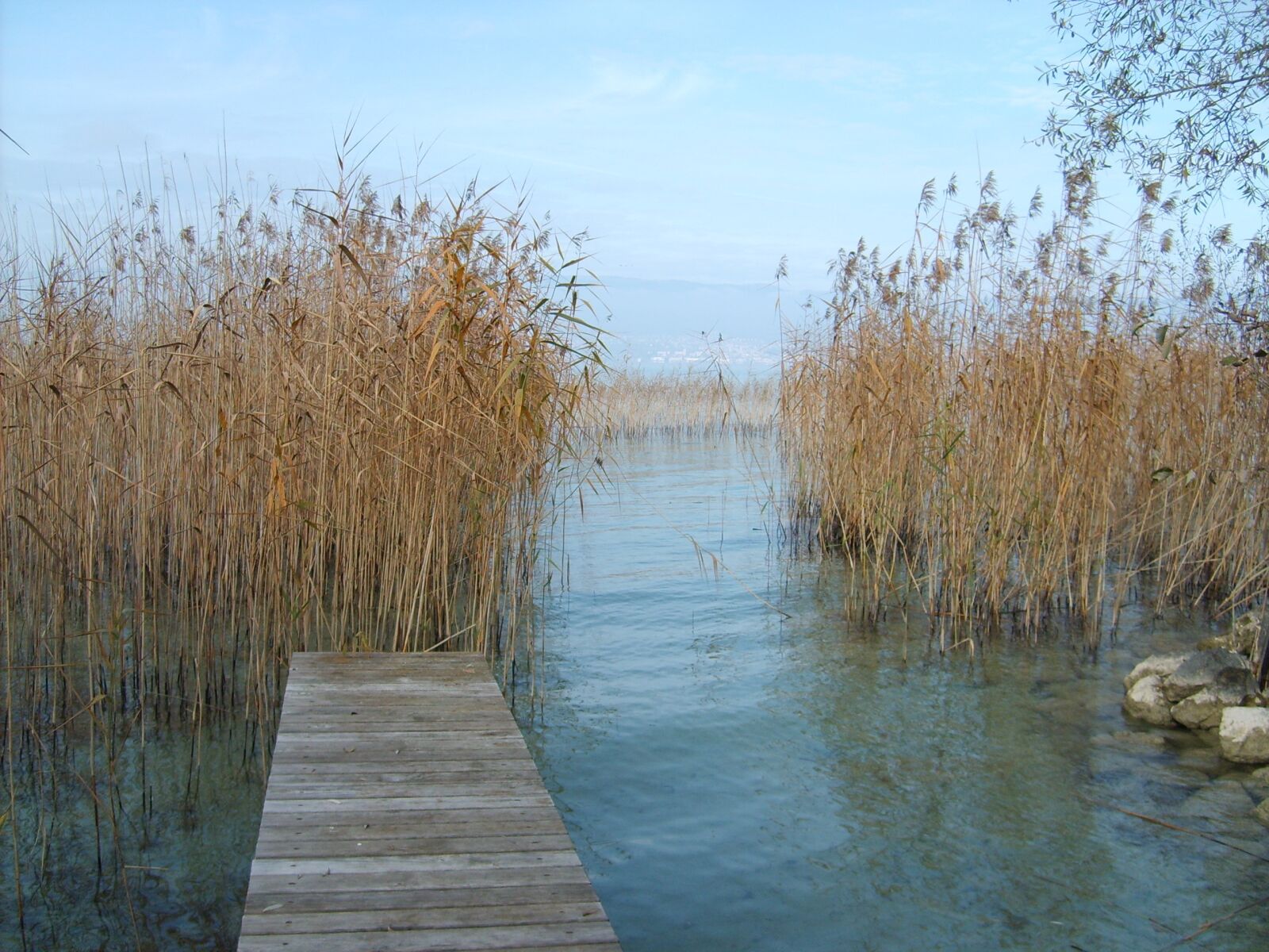 Samsung Digimax S500 / Kenox S500 / Digimax Cyber 530 sample photo. Web, lakeside, winter mood photography