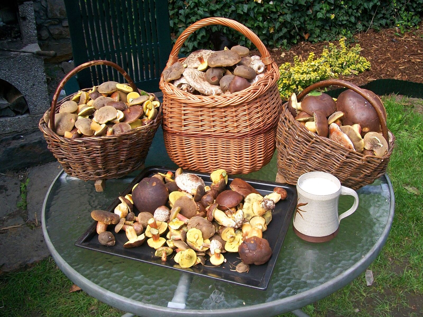 Kodak EASYSHARE C140 DIGITAL CAMERA sample photo. Mushrooms, basket with mushrooms photography