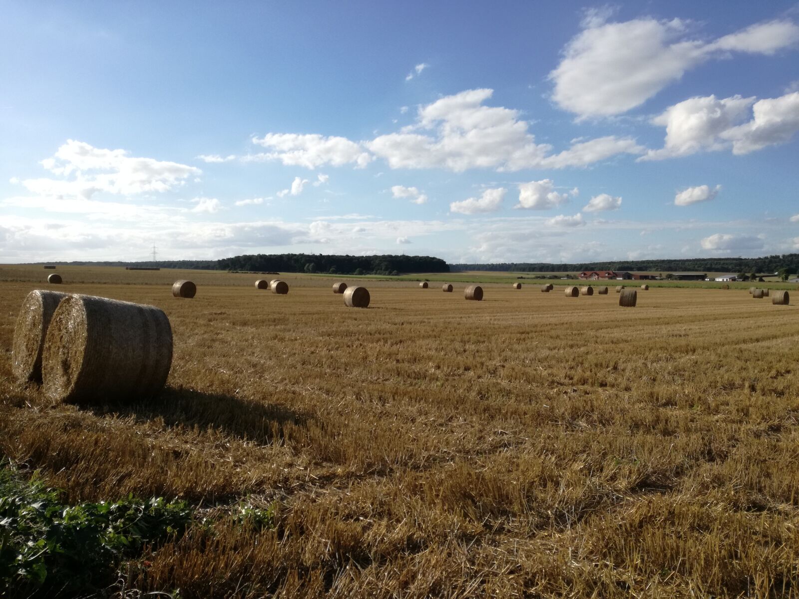 HUAWEI P9 LITE sample photo. Summer, agriculture, field photography