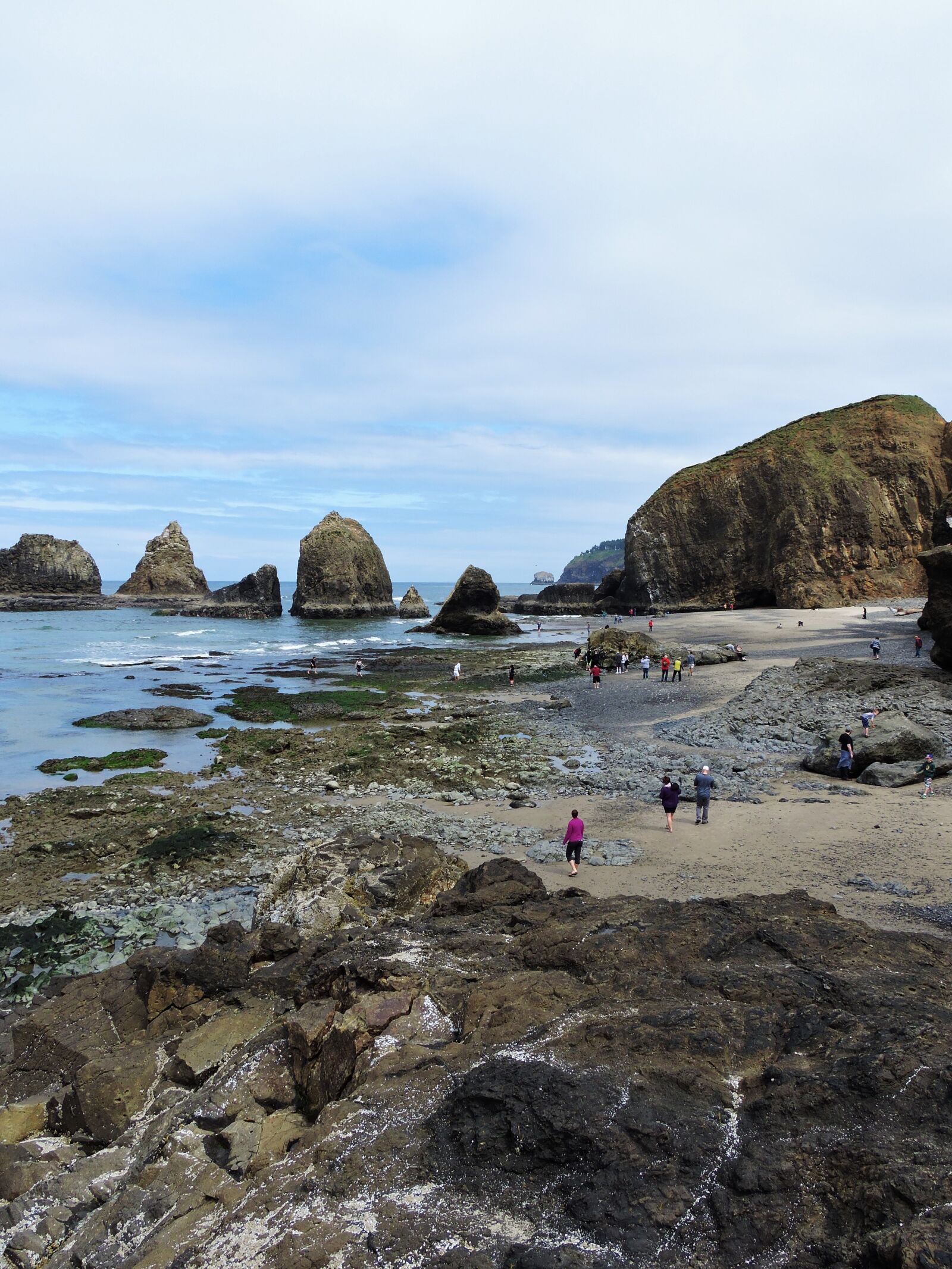Nikon Coolpix P600 sample photo. Coast, oregon coast, ocean photography