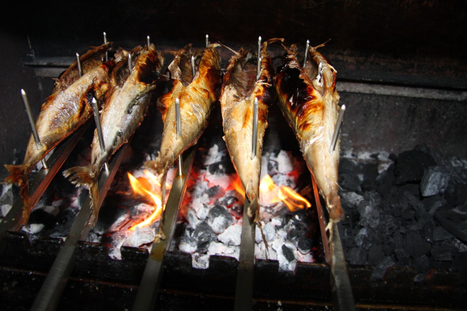 Canon EOS 40D sample photo. Mackerel, steckerlfisch, fish photography