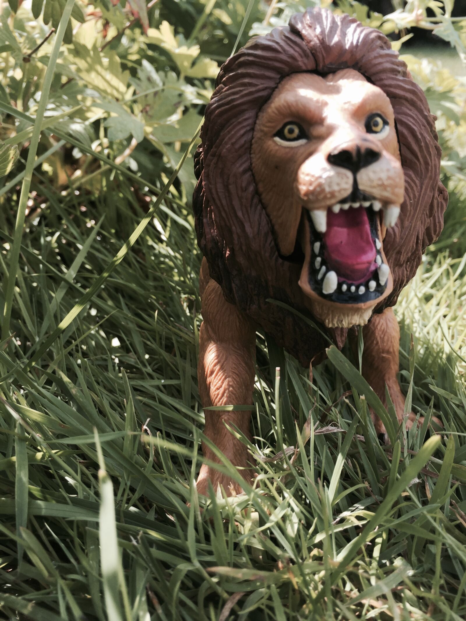 Apple iPhone 6 sample photo. Lion, toys, children toys photography