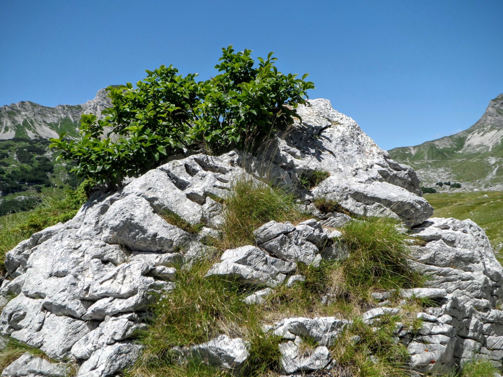 Samsung ST200 / ST200F / ST201 / ST201F / ST205F sample photo. Blue, sky, grass, limestone photography