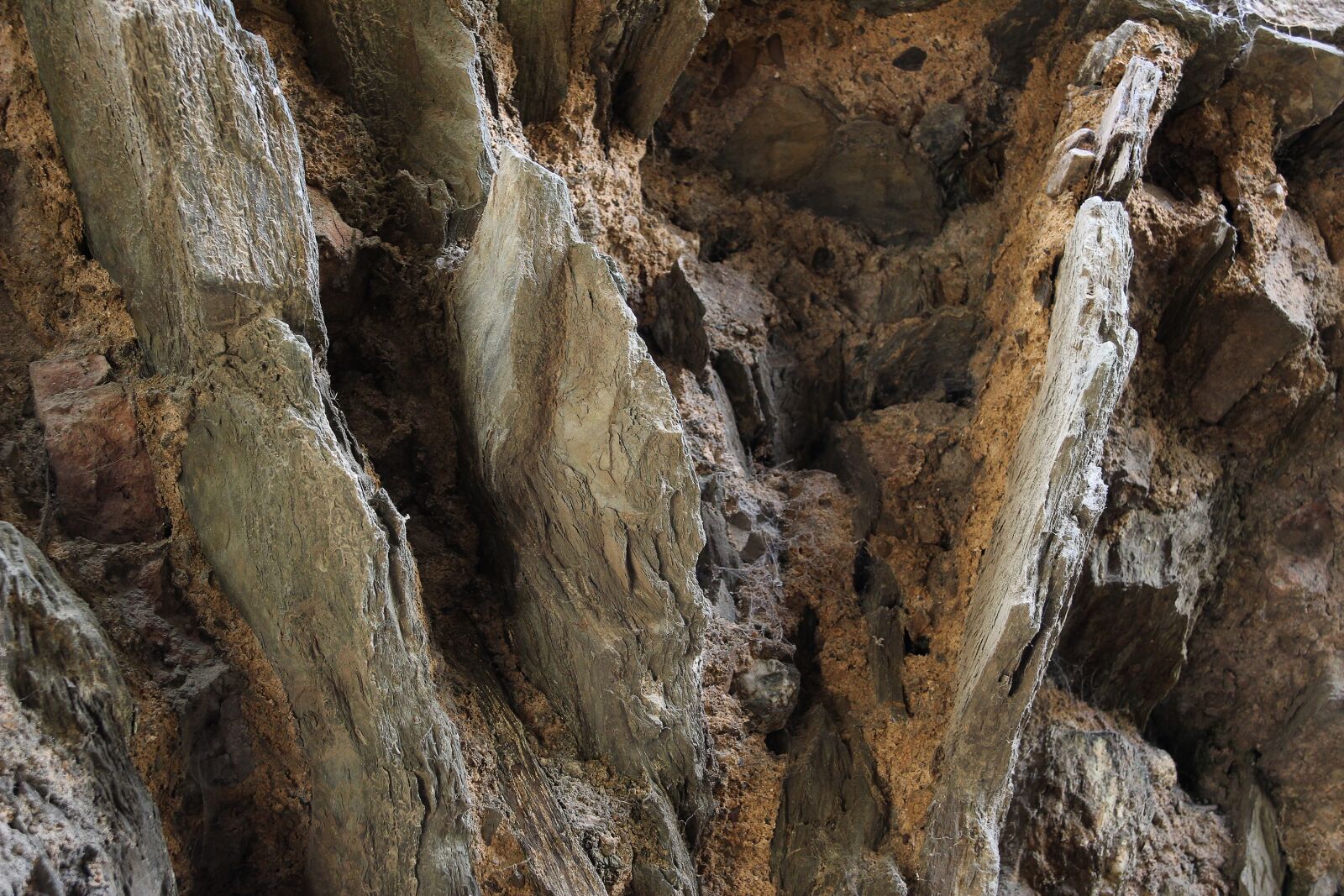 Canon EOS 600D (Rebel EOS T3i / EOS Kiss X5) sample photo. Stone, rock, structure photography