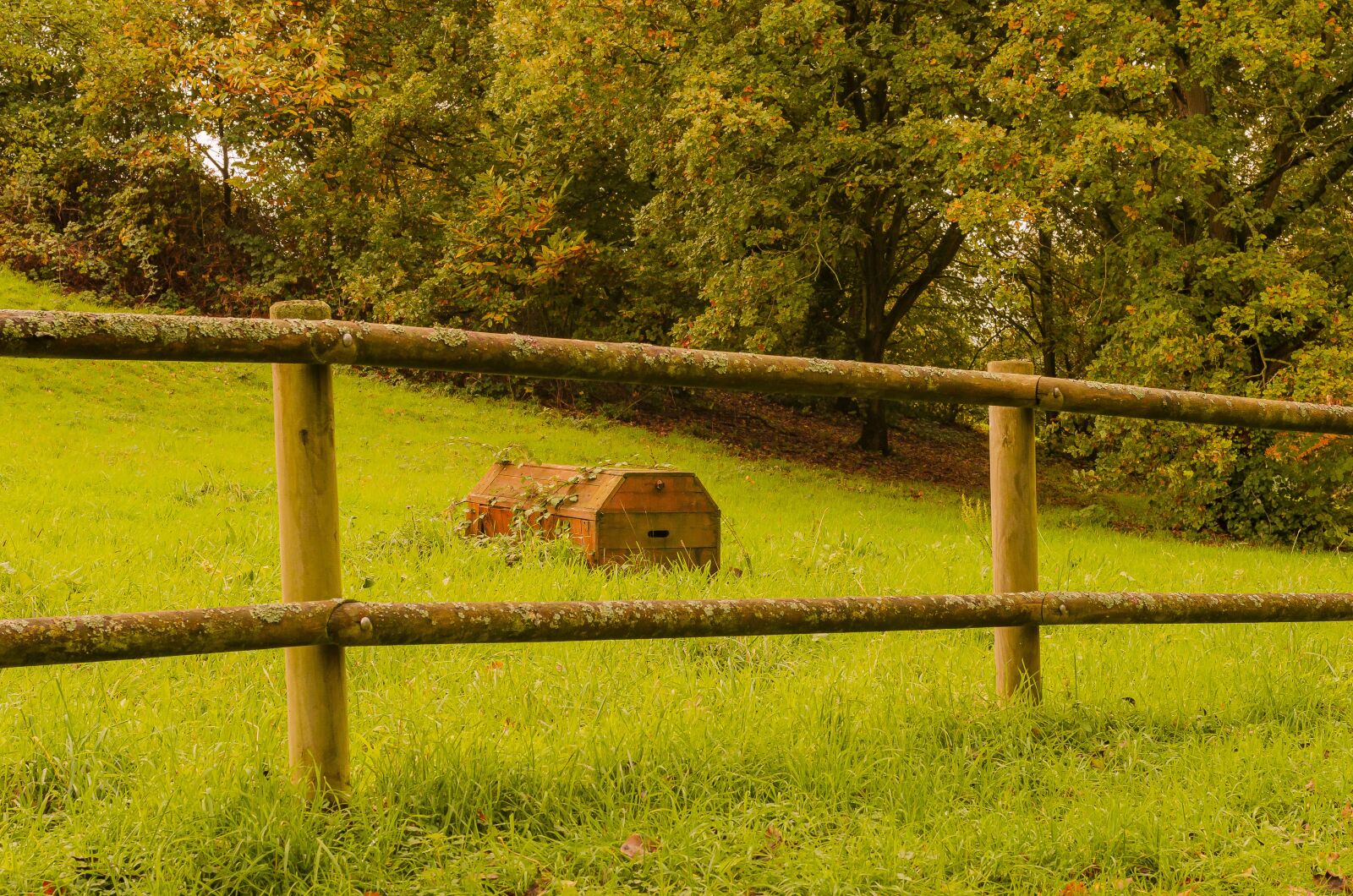 Nikon D7000 sample photo. Fall, park, color photography