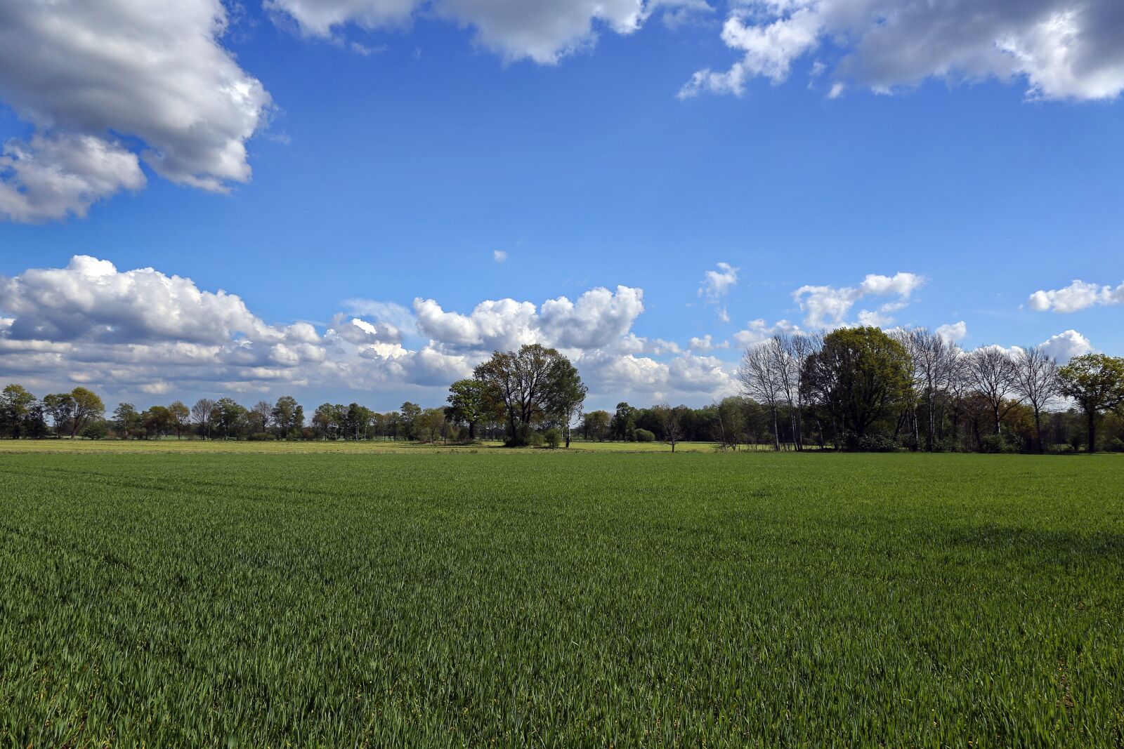 Canon EOS 6D + Canon EF 24-105mm F4L IS USM sample photo. Clouds, northern germany, reported photography