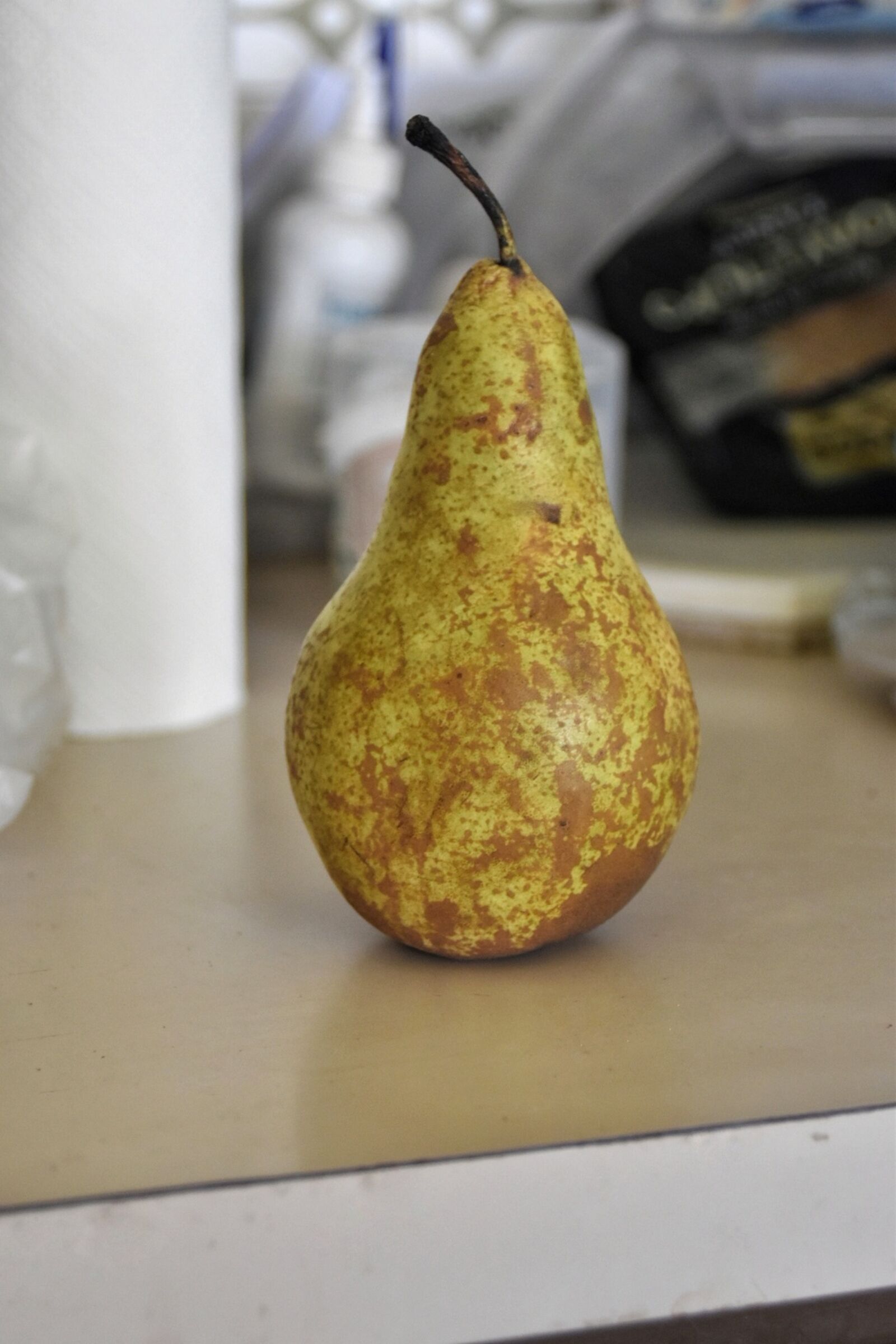 Nikon D5600 sample photo