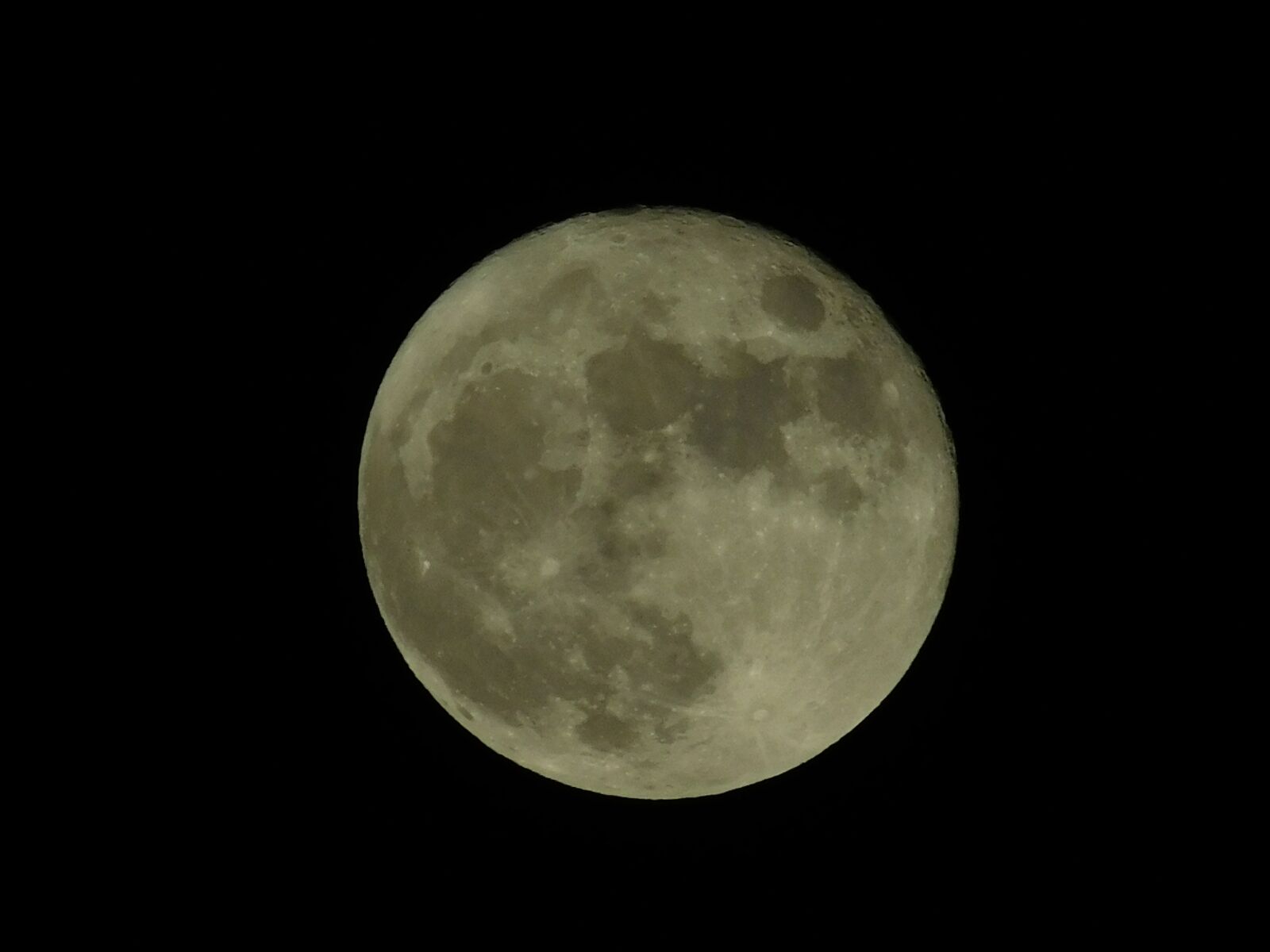 Nikon Coolpix L840 sample photo. Moon, black-grey, full moon photography