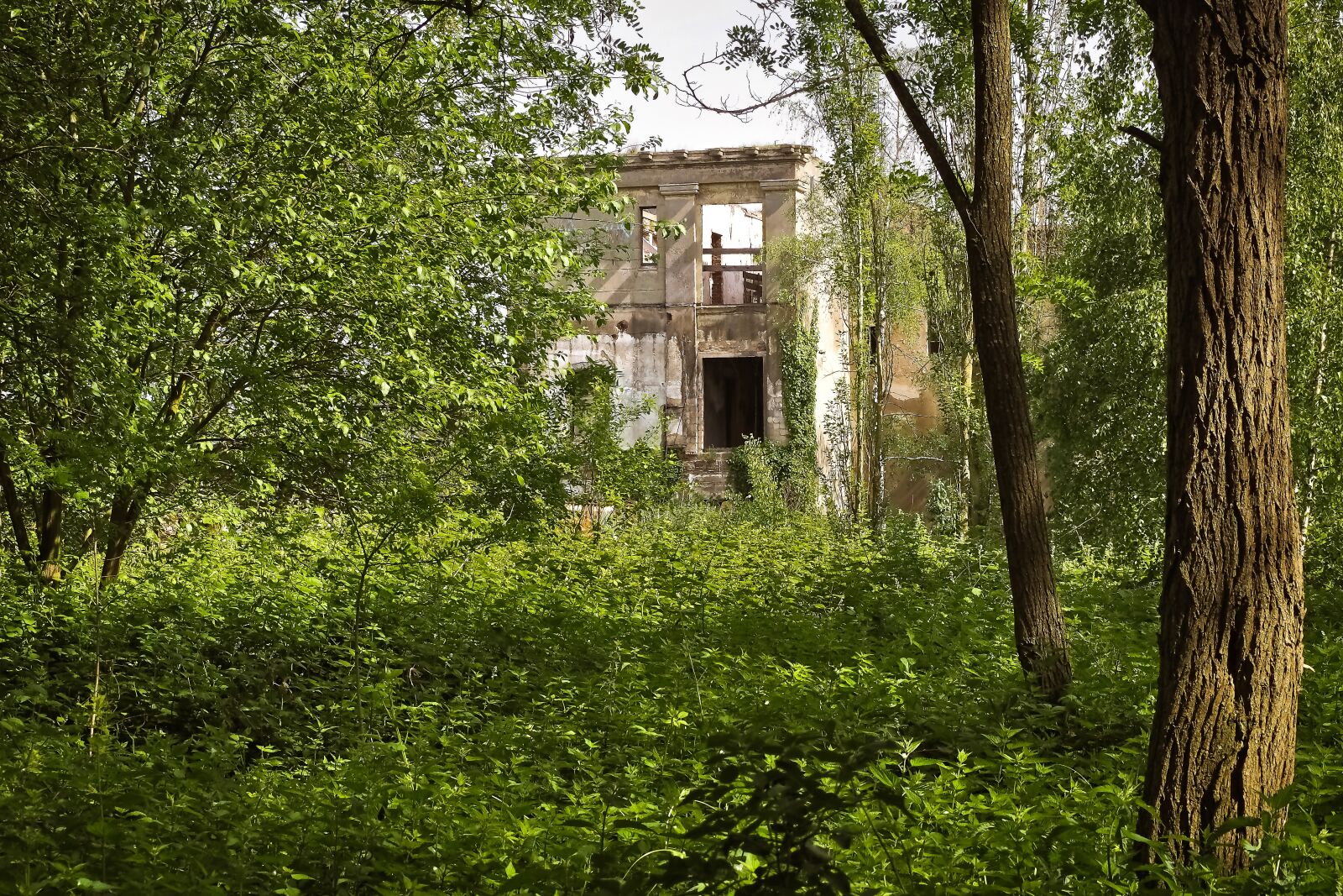 Olympus OM-D E-M10 sample photo. Lost places, factory, break photography