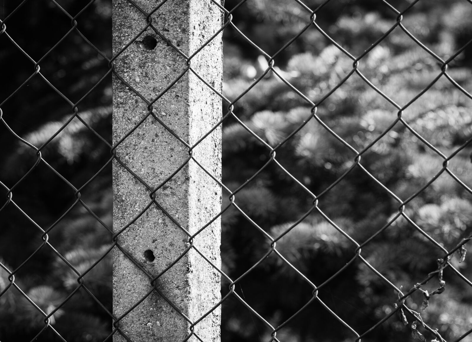 Canon EOS 700D (EOS Rebel T5i / EOS Kiss X7i) + Canon EF 50mm F1.8 STM sample photo. Fence, column, wire photography