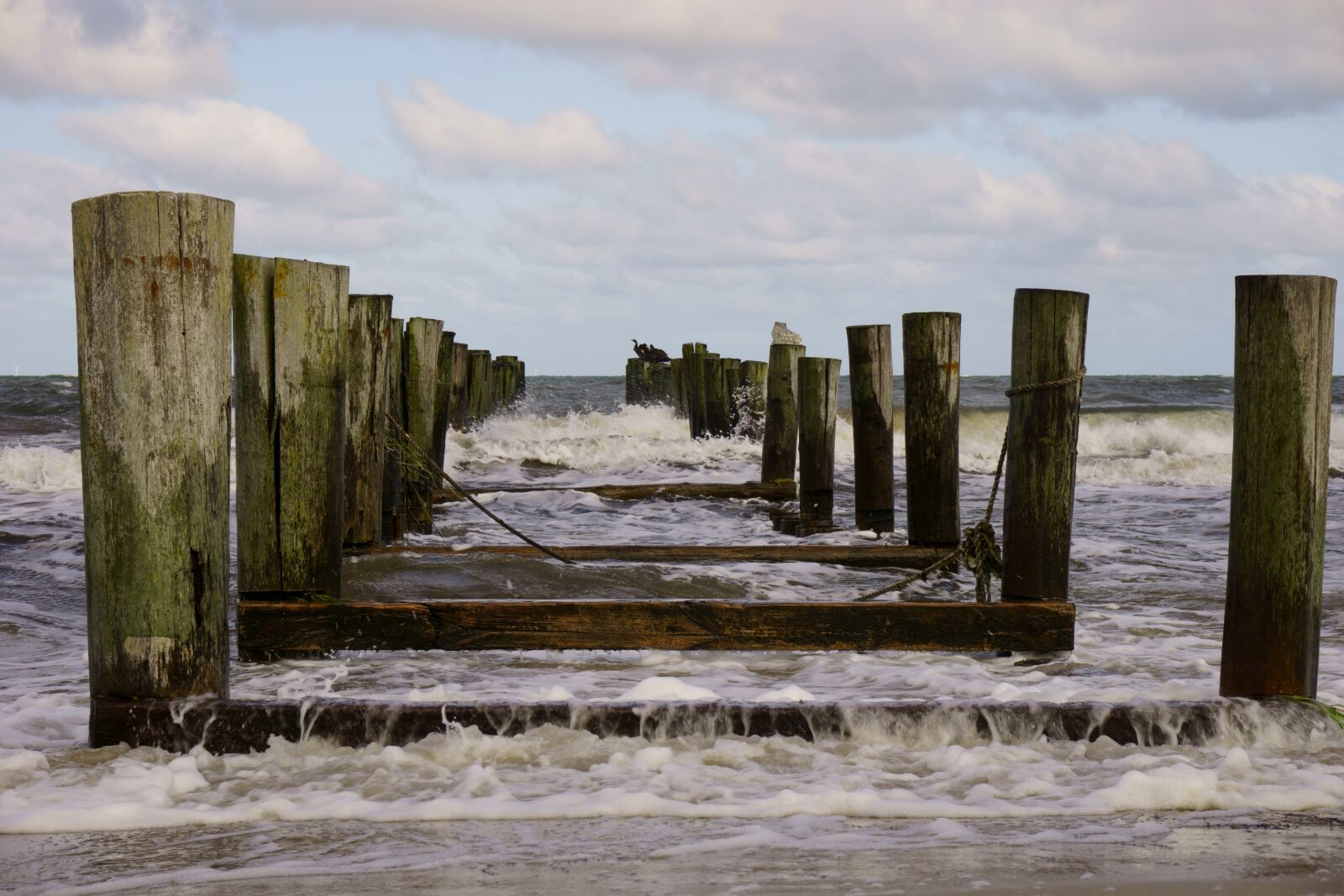 Sony a6000 sample photo. Baltic sea, vacations, sea photography
