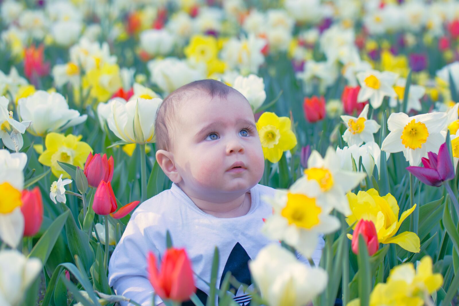 Nikon D7200 sample photo. Baby, boy, child photography
