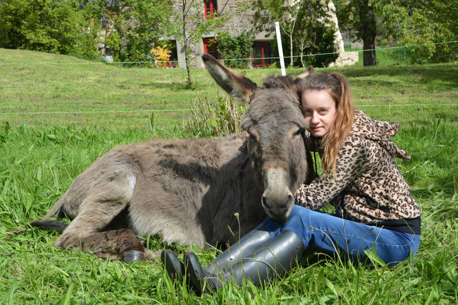 Nikon D5200 sample photo. Girl, donkey, complicity photography