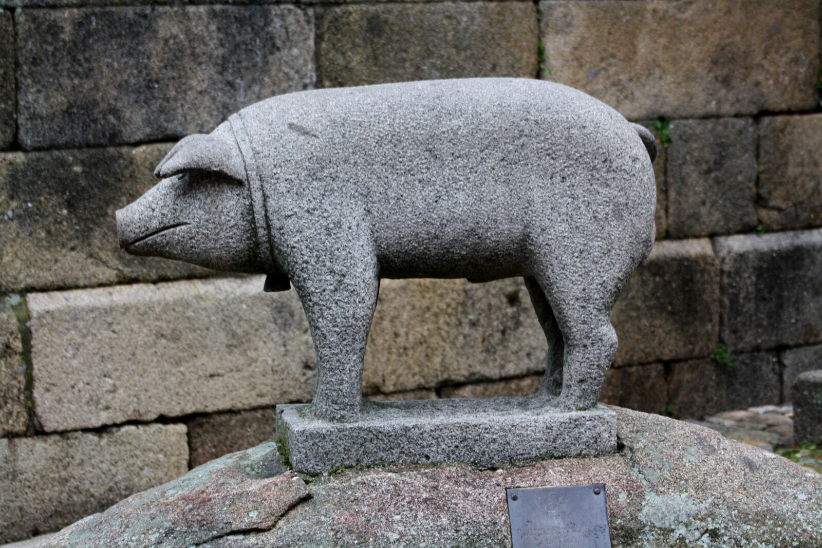 Canon EOS 1000D (EOS Digital Rebel XS / EOS Kiss F) sample photo. Berraco, gorrino, pork photography