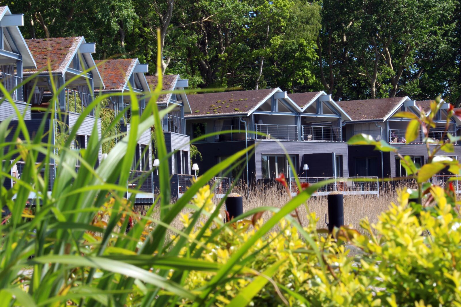 Canon EOS 700D (EOS Rebel T5i / EOS Kiss X7i) sample photo. R gen island, gustow photography