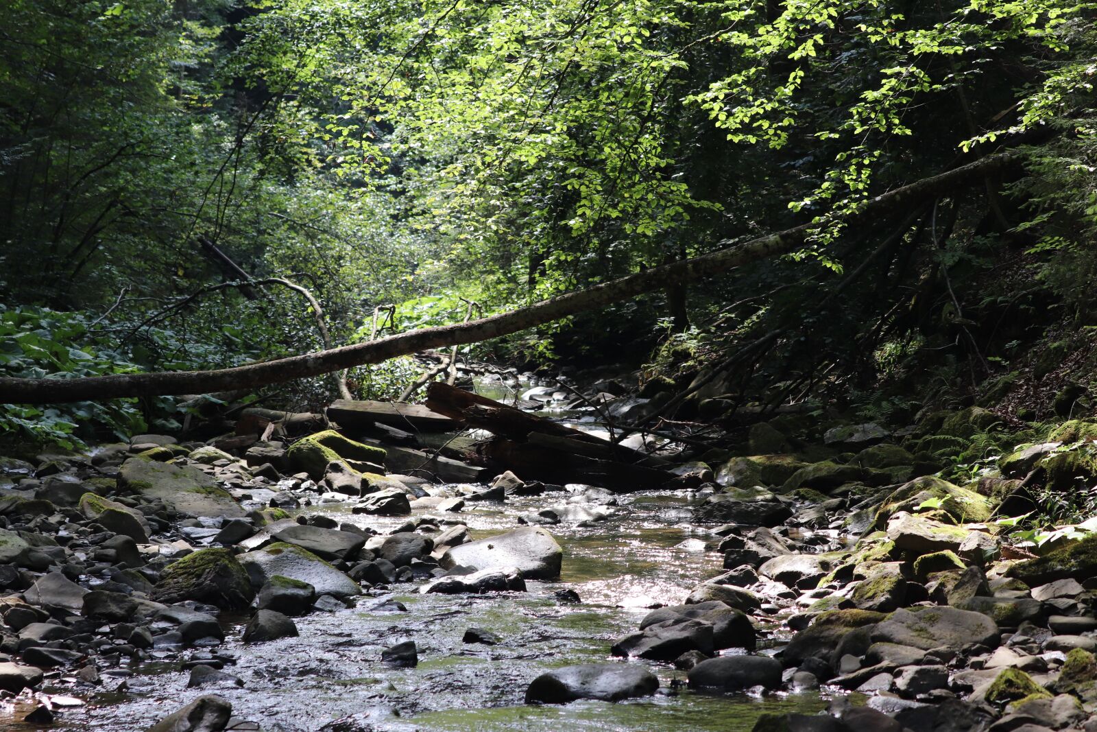 Canon EF 70-300 F4-5.6 IS II USM sample photo. Nature, river, stone photography