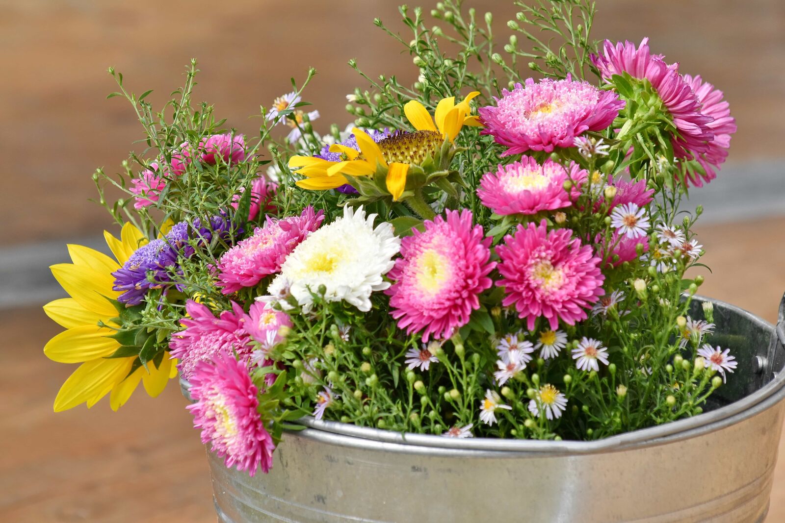 Nikon D5500 sample photo. Arrangement, bucket, decoration, still photography