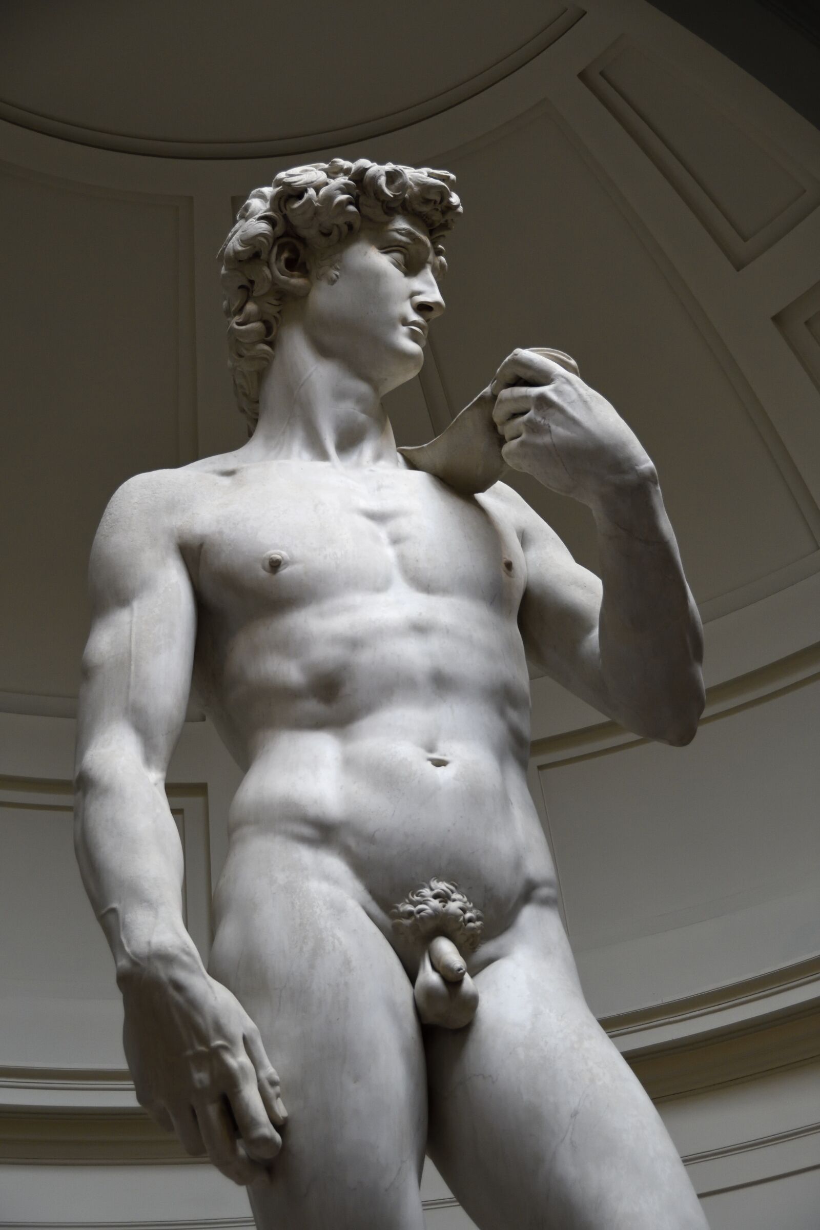 Nikon D500 sample photo. David, miguel angel, statue photography
