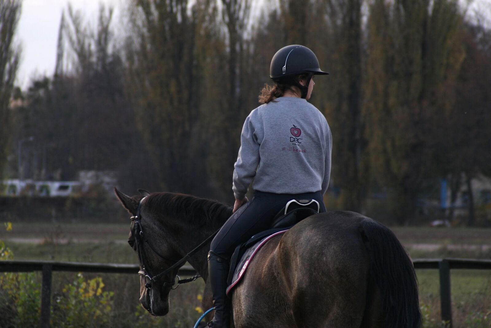 Canon EOS 30D sample photo. Rider, horse, racecourse photography