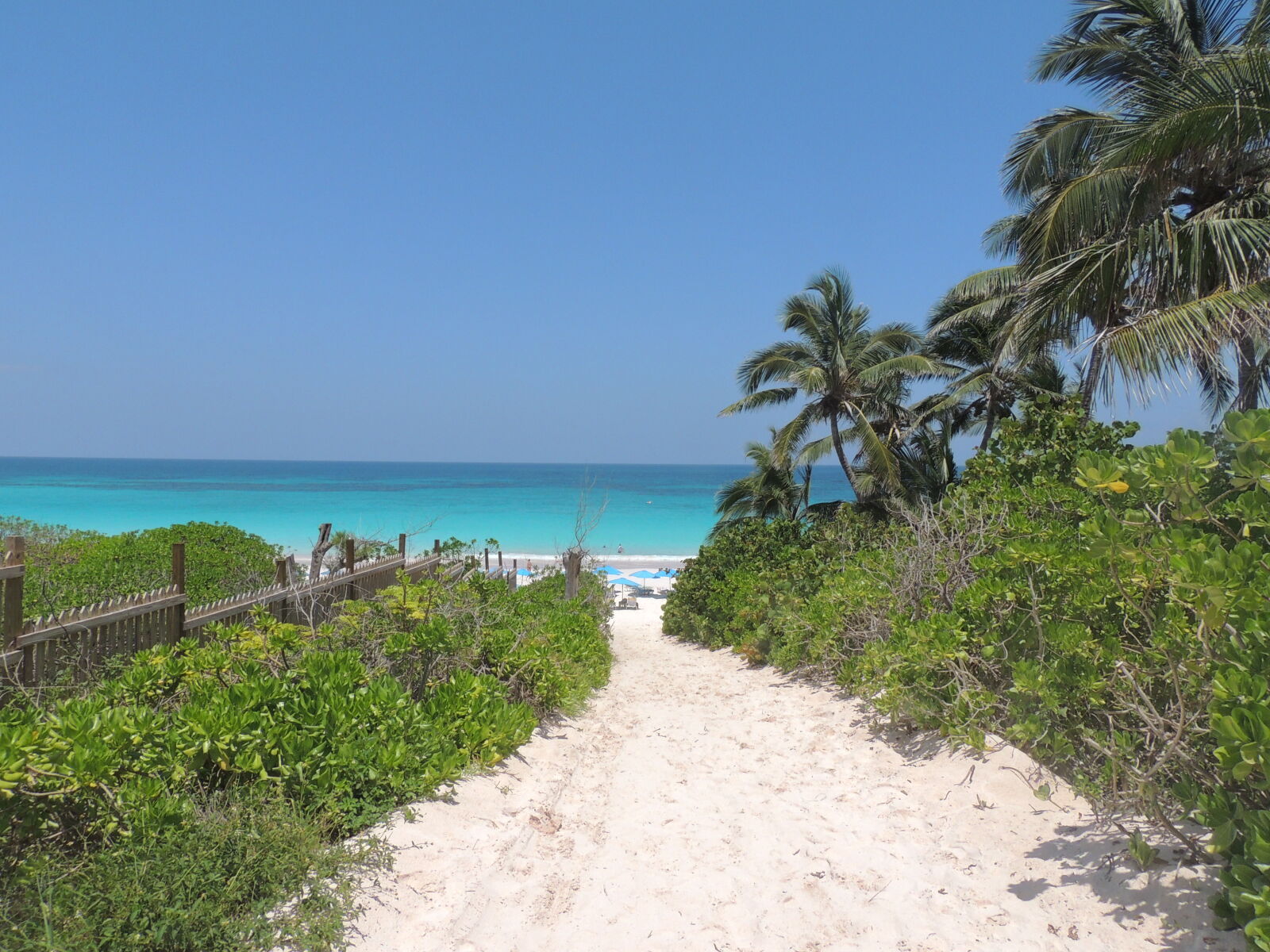Nikon Coolpix P510 sample photo. Beach, blue, foot, path photography
