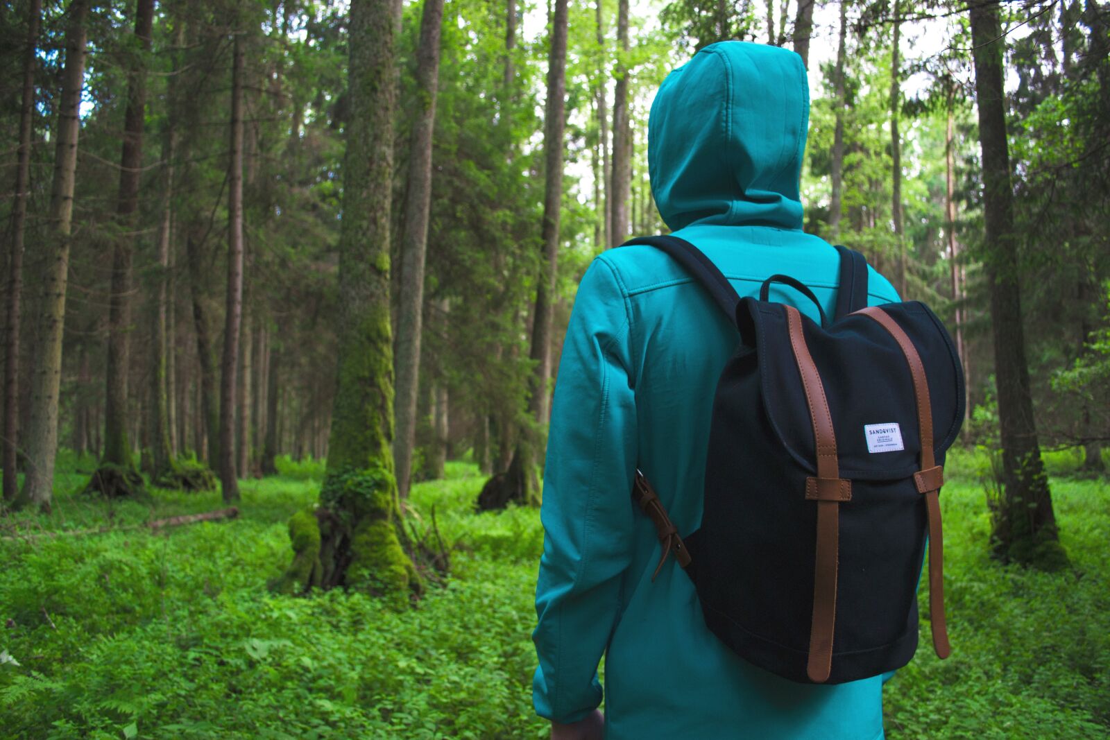 Nikon D3100 sample photo. Adventure, backpack, forest photography