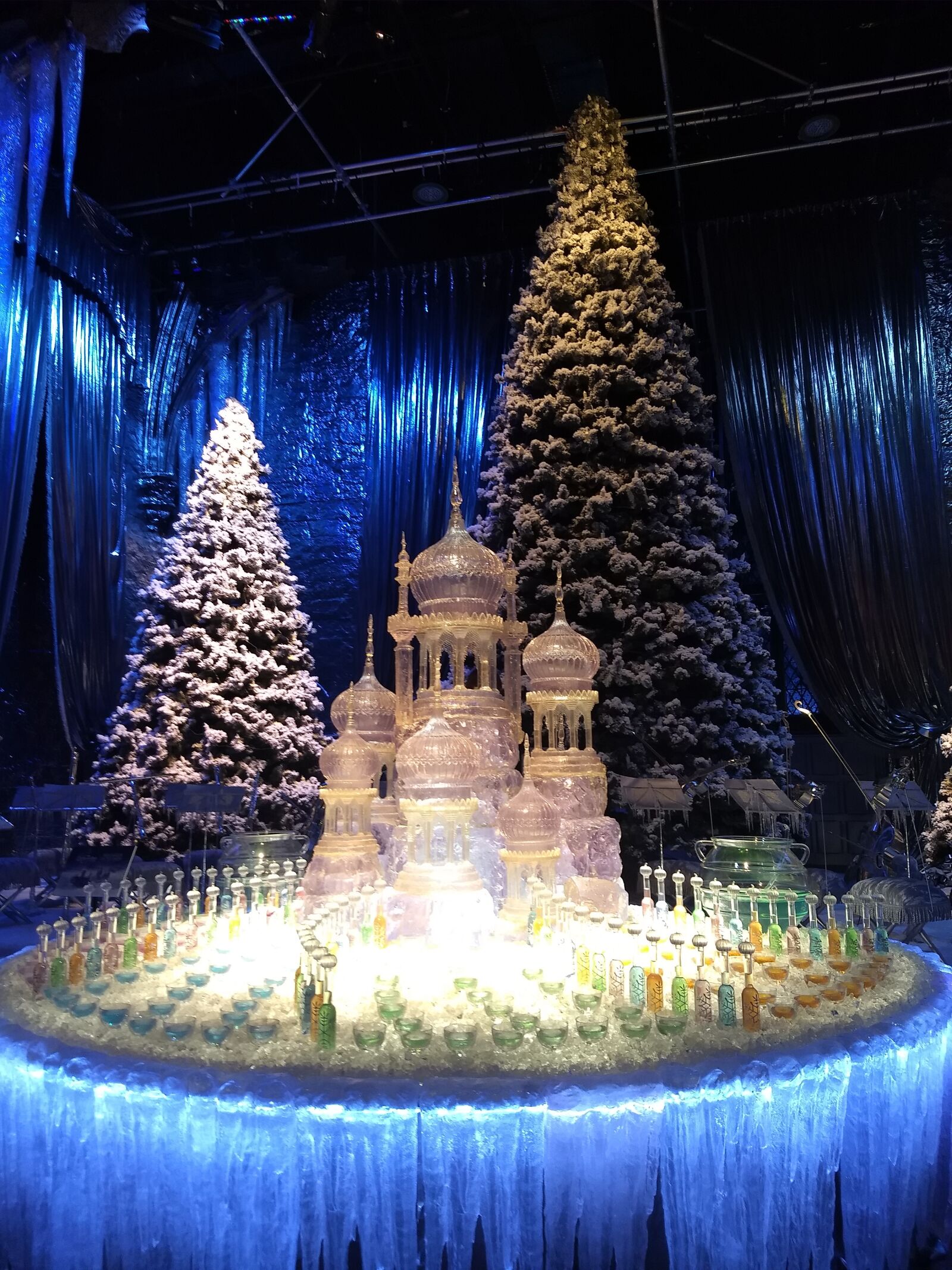 Motorola Moto G (5) Plus sample photo. Harry potter, christmas, christmas photography