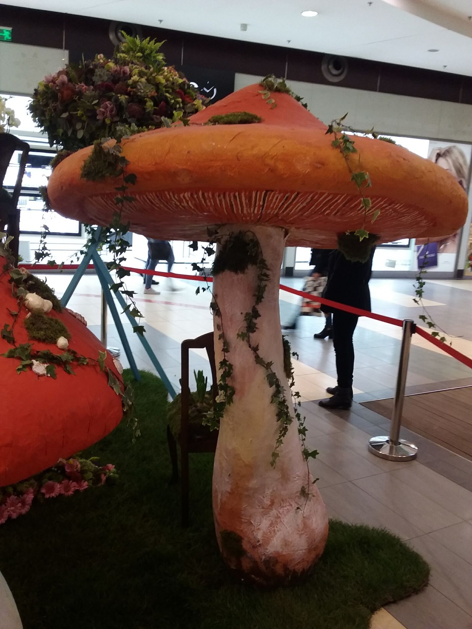 Samsung Galaxy J3(2016) sample photo