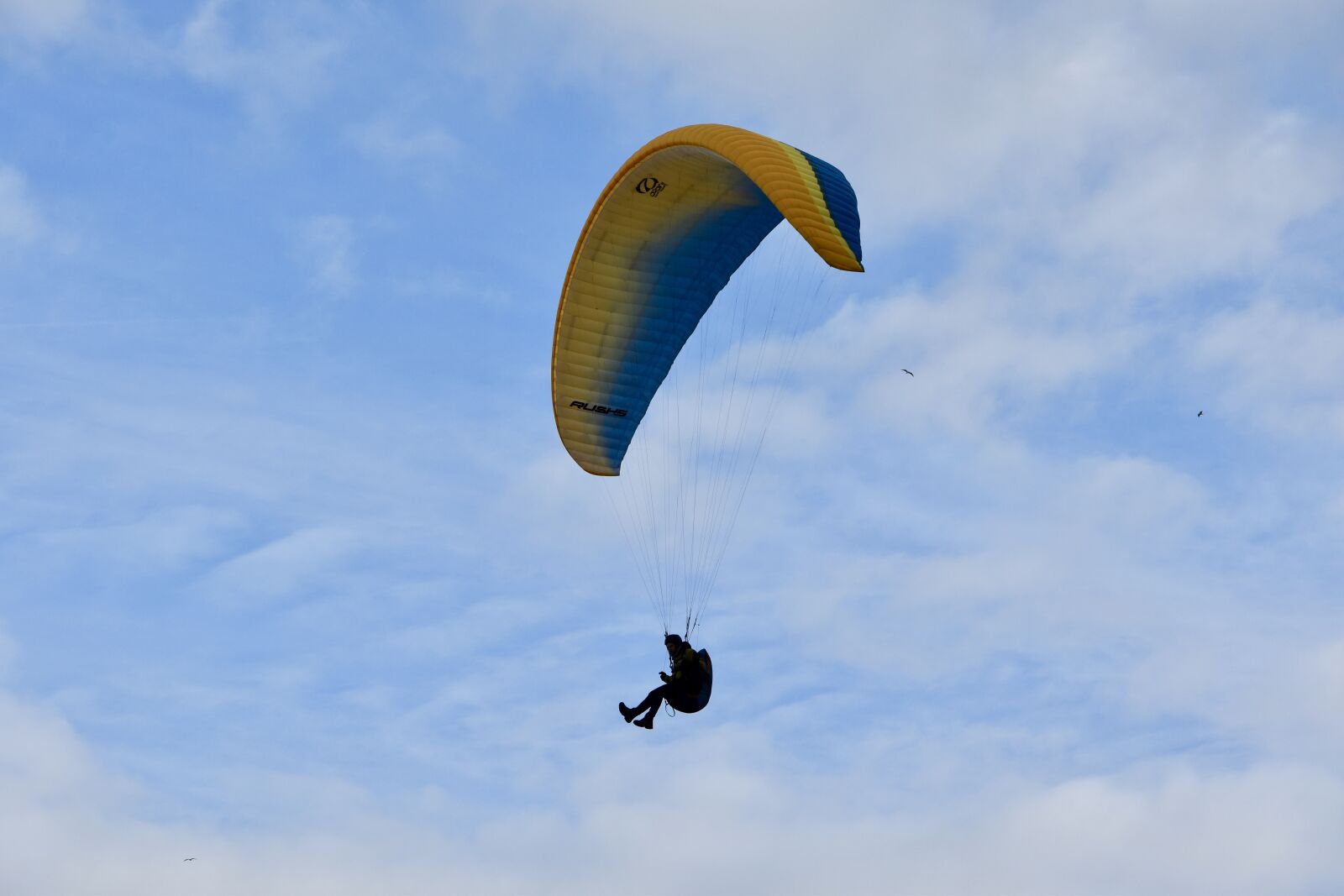 Nikon D5600 sample photo. Paragliding, paraglider, wing ozone photography