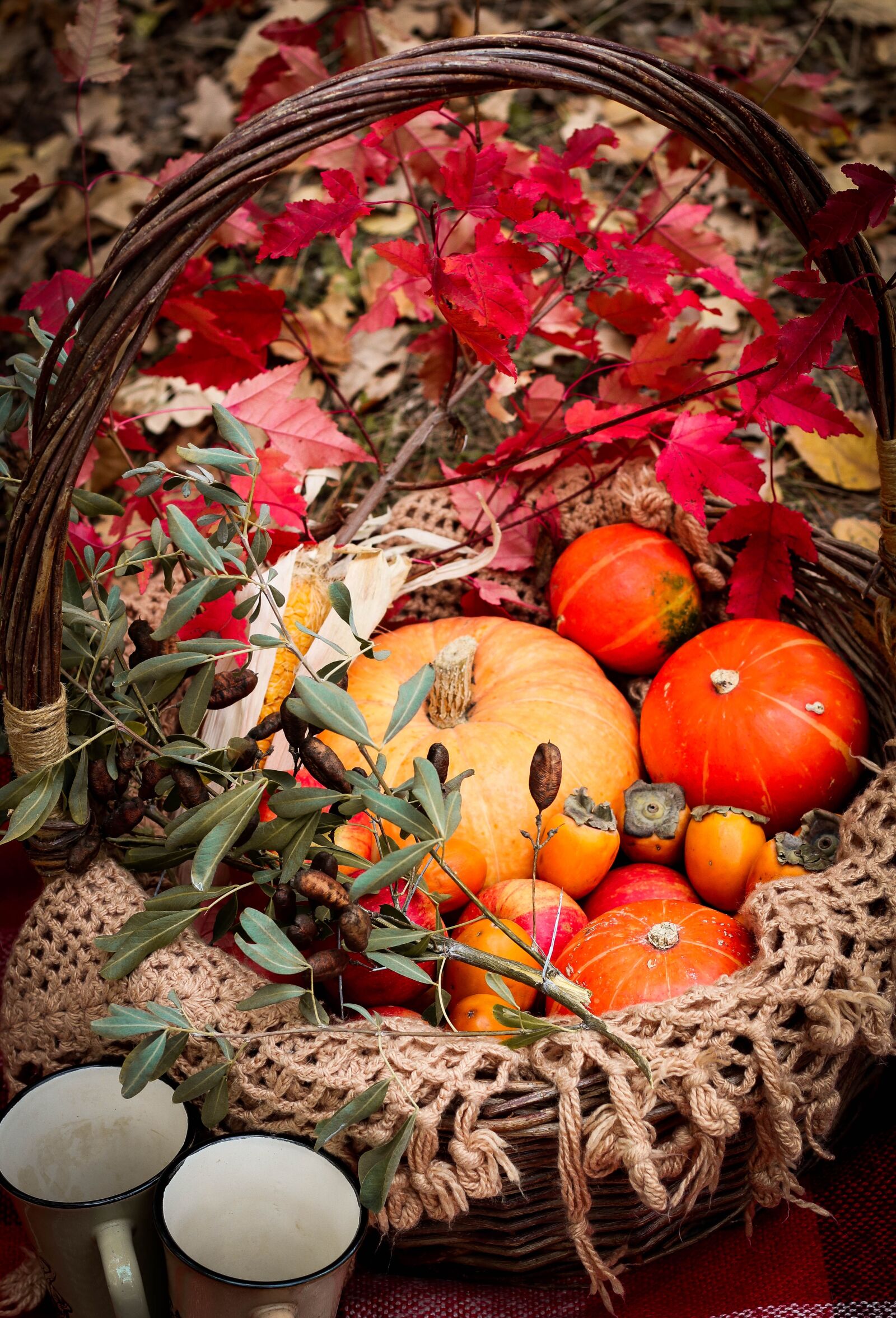 Canon EOS 750D (EOS Rebel T6i / EOS Kiss X8i) sample photo. Autumn, pumpkin, basket photography