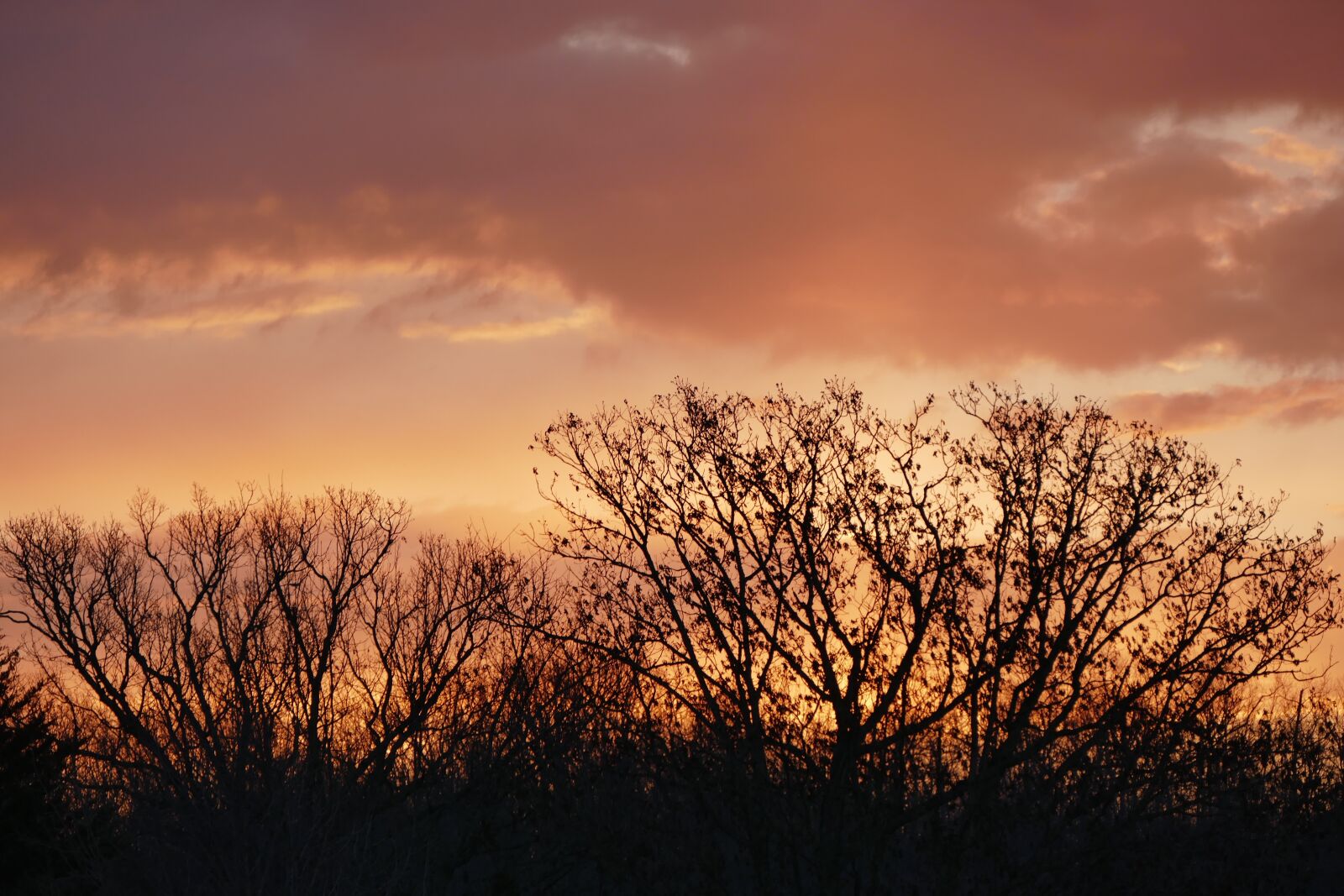 Panasonic Lumix DMC-FZ1000 sample photo. Red sky, sunrise, sky photography