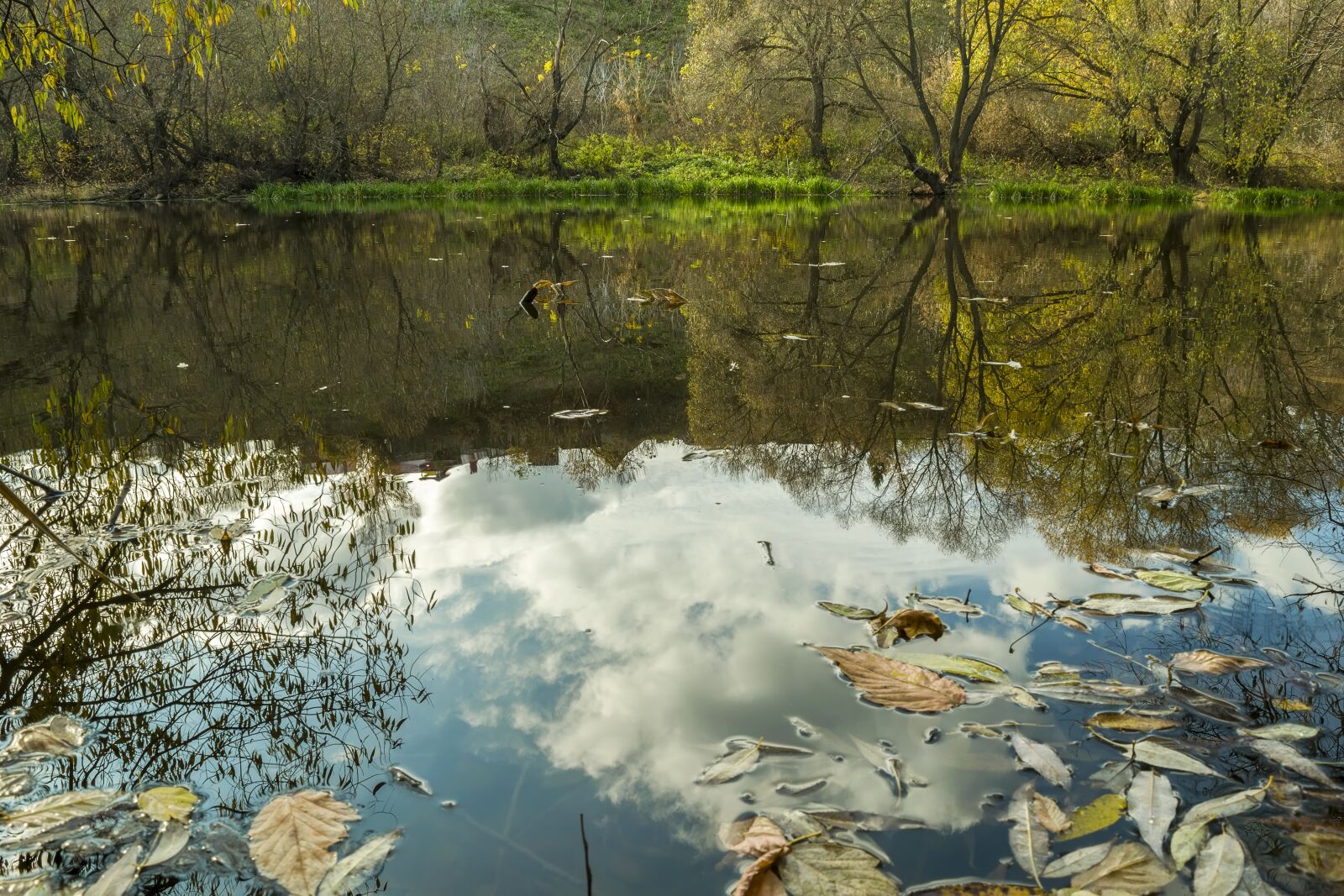 Nikon D3300 sample photo. River, don, reflection photography