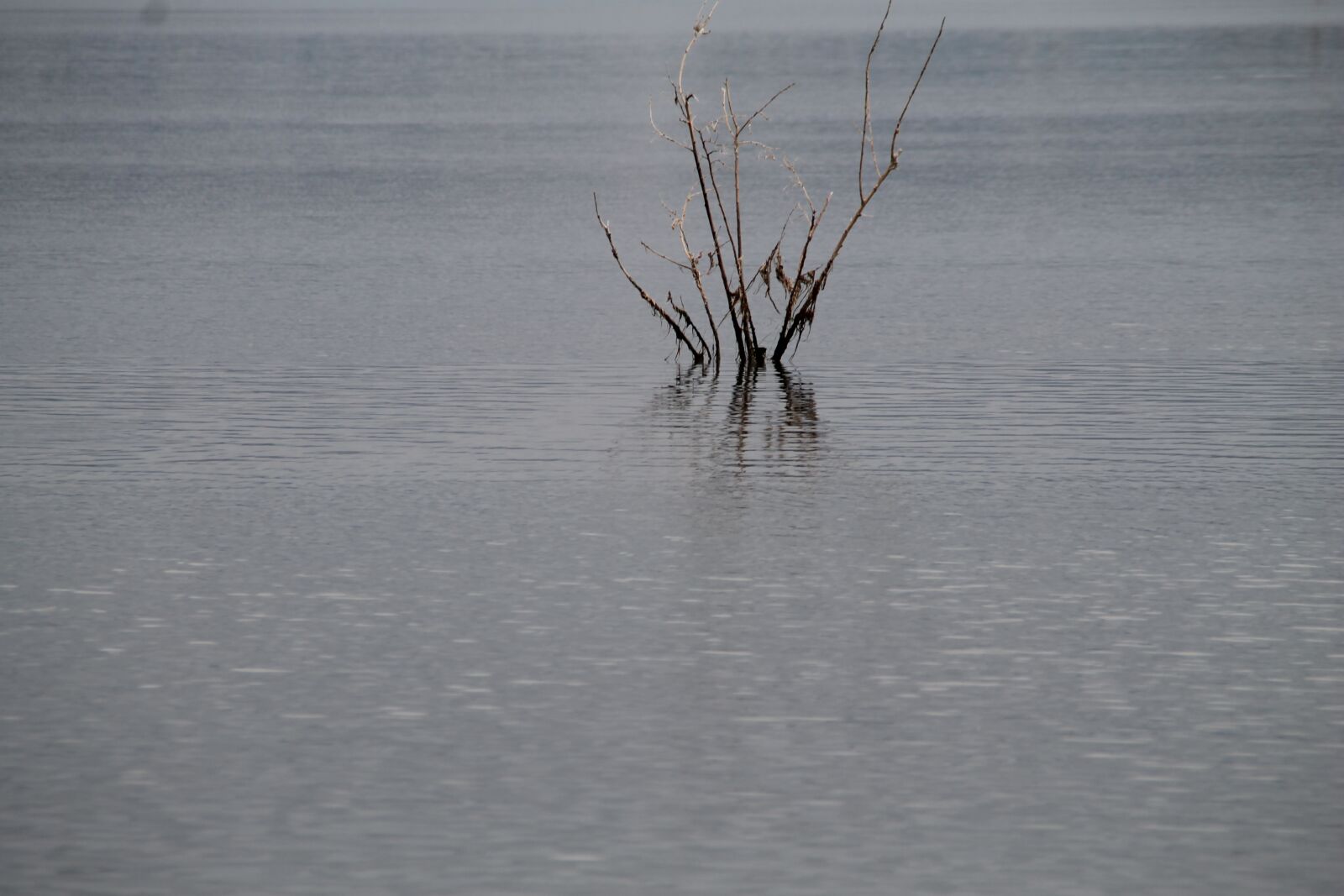 Canon EOS 1100D (EOS Rebel T3 / EOS Kiss X50) sample photo. Water, grey, november photography
