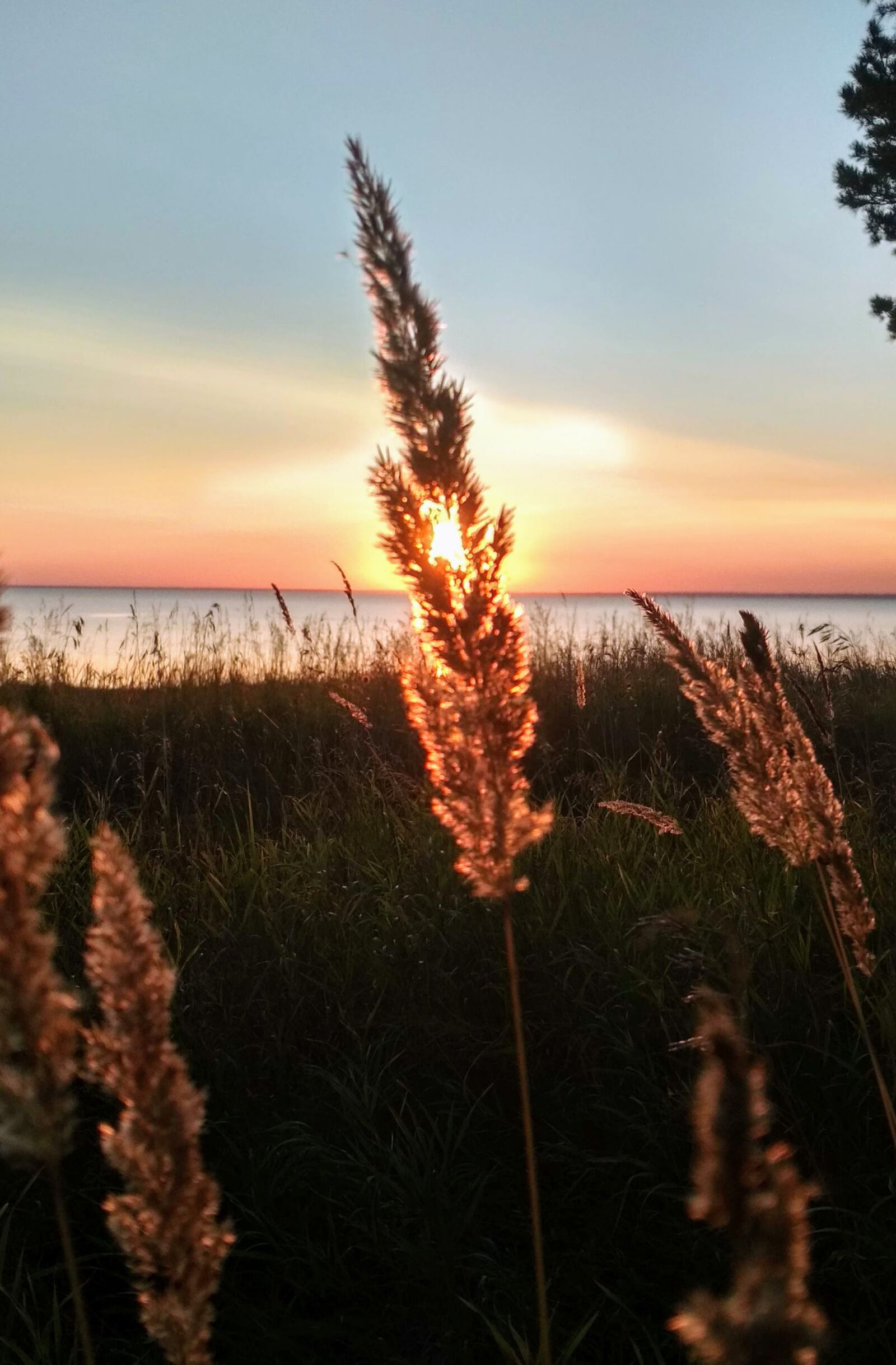Xiaomi Redmi 4X sample photo. Orange, nature, sunset photography