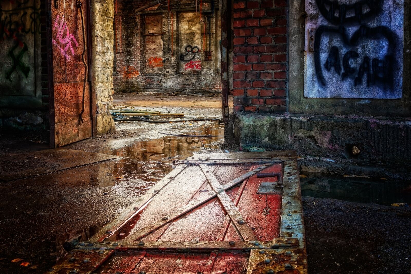 Nikon D3300 sample photo. Door, wood, lost places photography