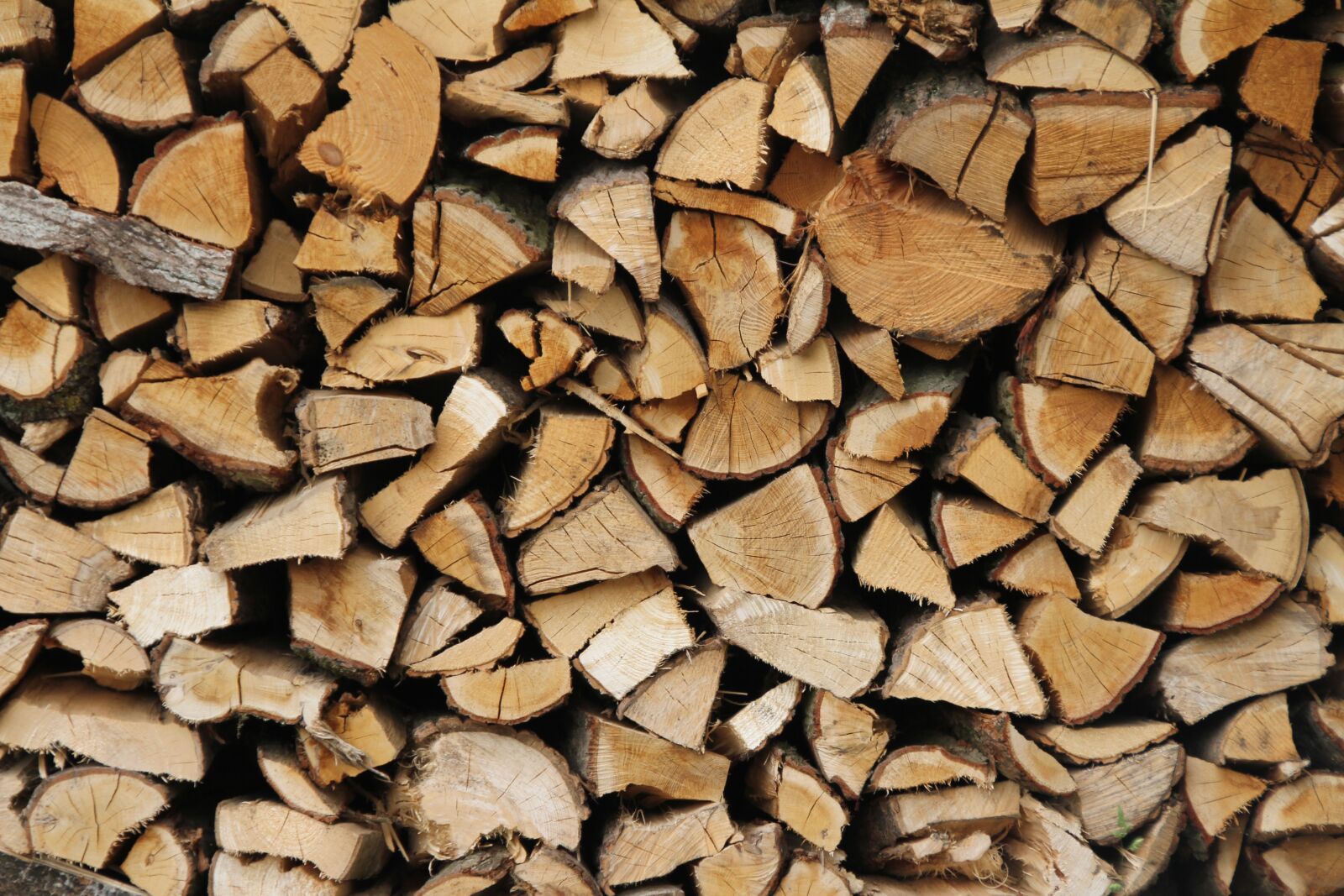 Canon EOS 550D (EOS Rebel T2i / EOS Kiss X4) sample photo. Firewood, fireplace, wood for photography
