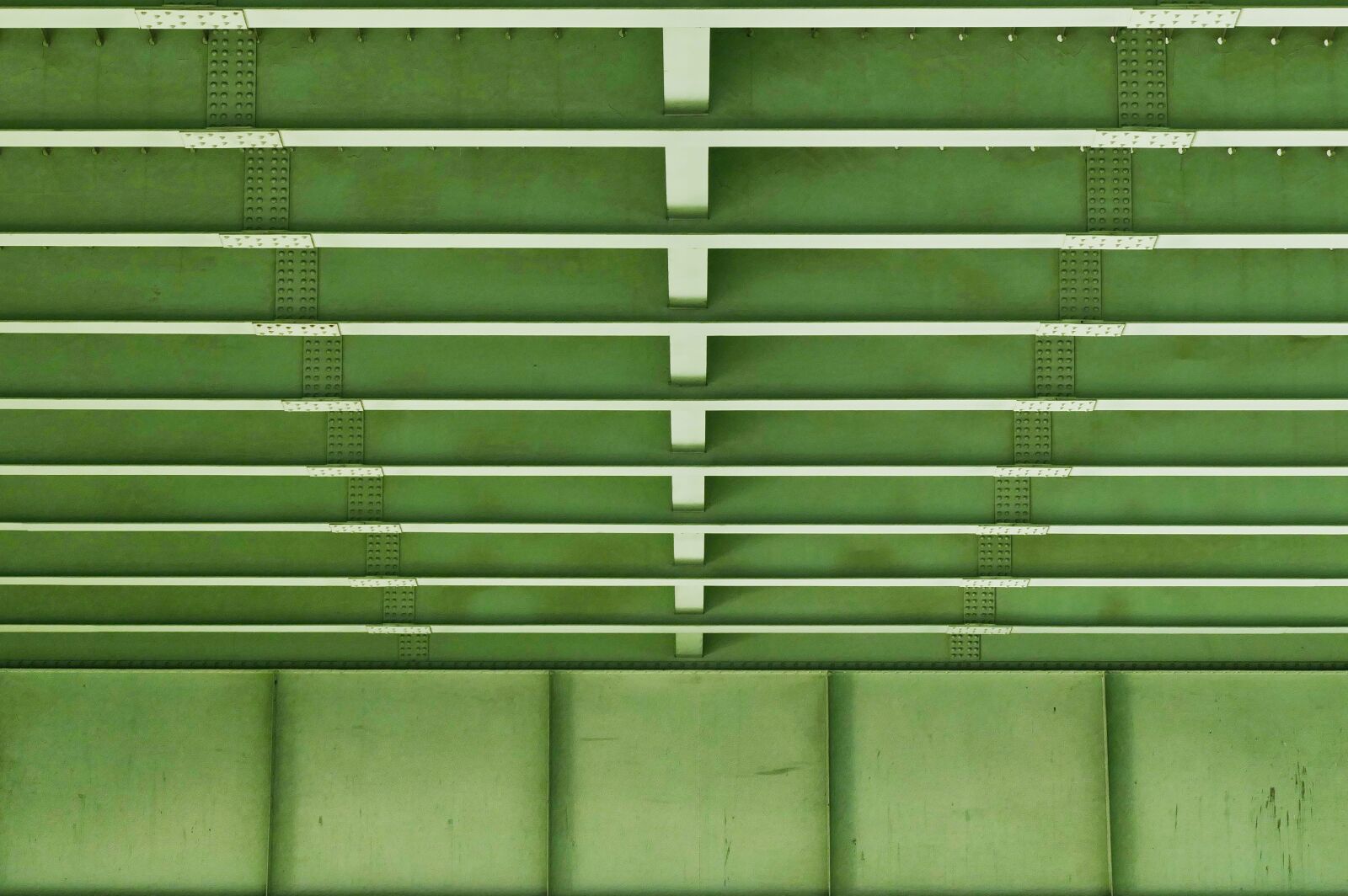Panasonic Lumix DMC-FZ1000 sample photo. Texture, background, pattern photography