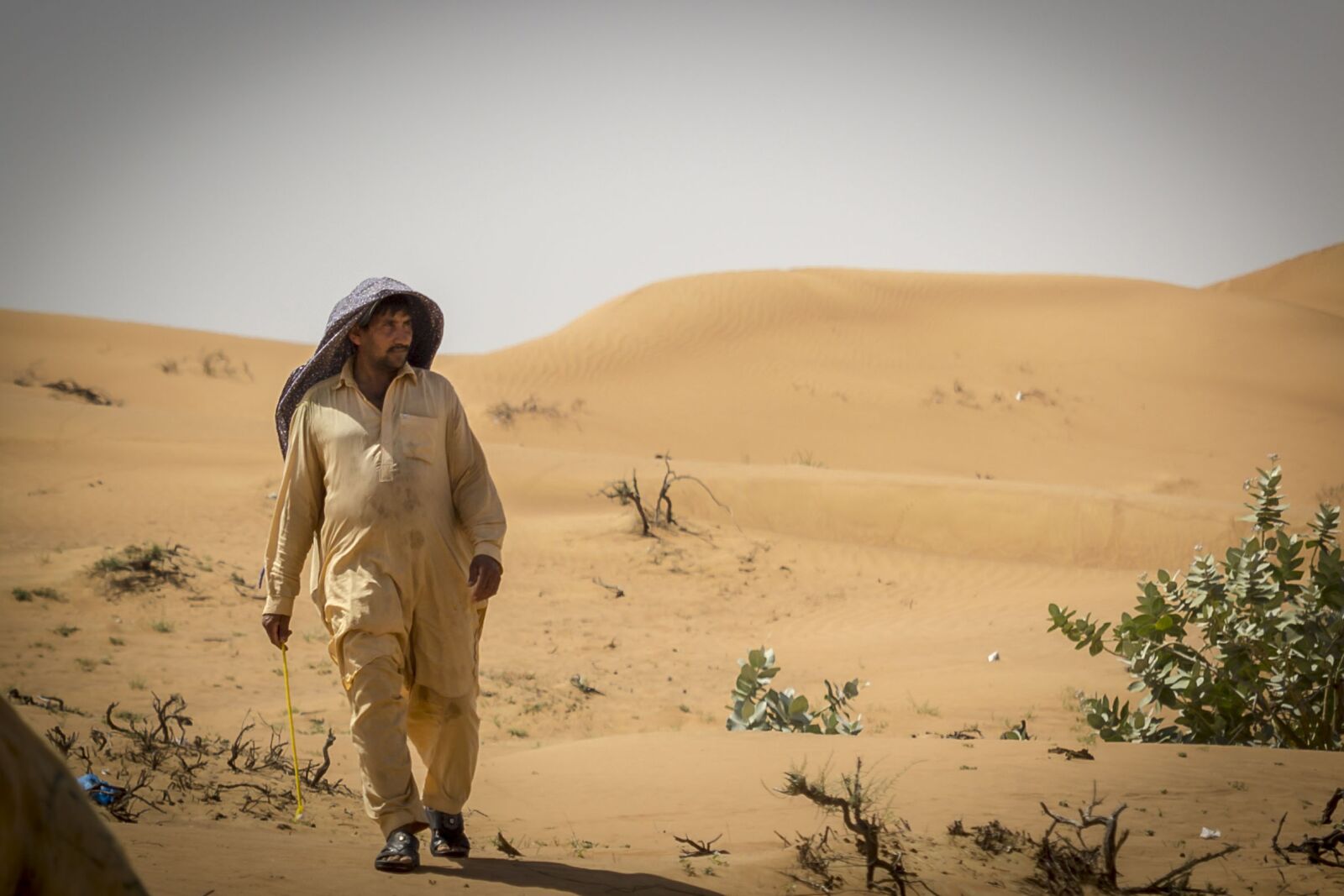 Canon EF-S 55-250mm F4-5.6 IS STM sample photo. Caldo, deserto, dubai, emirates photography