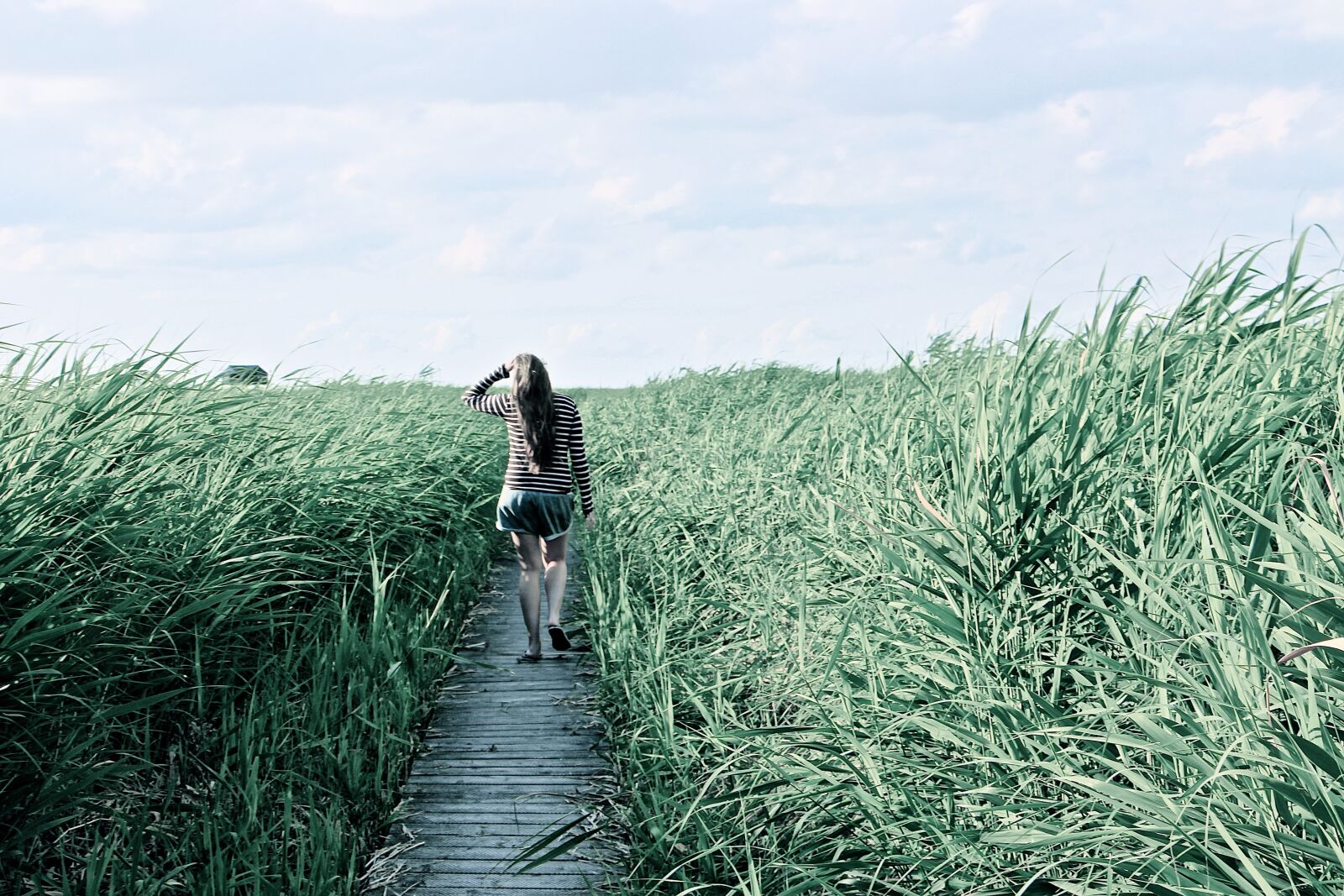 Canon EOS 700D (EOS Rebel T5i / EOS Kiss X7i) sample photo. High grass, walk, relax photography
