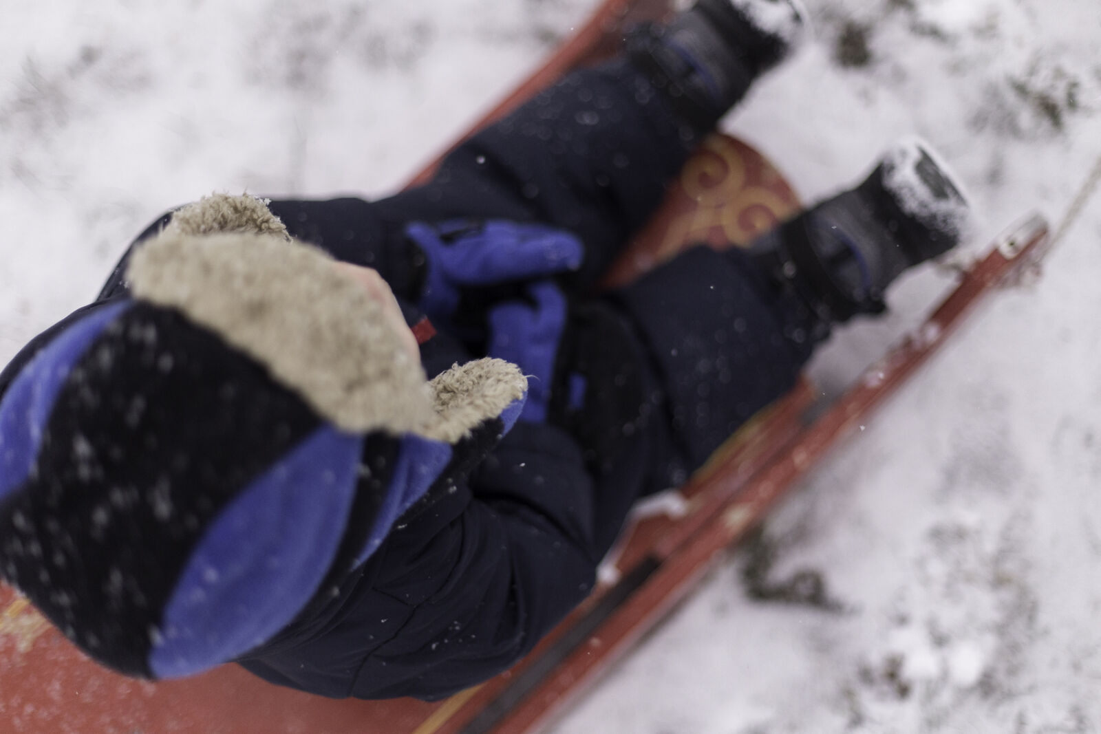 Canon EOS 6D + Canon EF 50mm F1.4 USM sample photo. Family, sled, snow photography