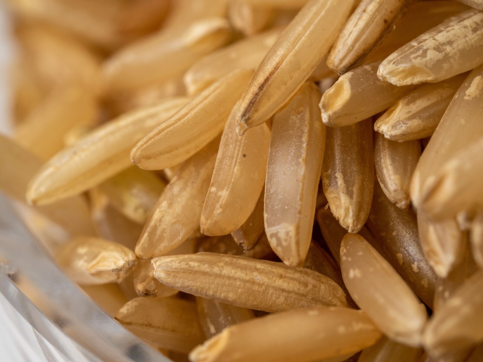 Olympus OM-D E-M10 III sample photo. Rice, natural, brown photography