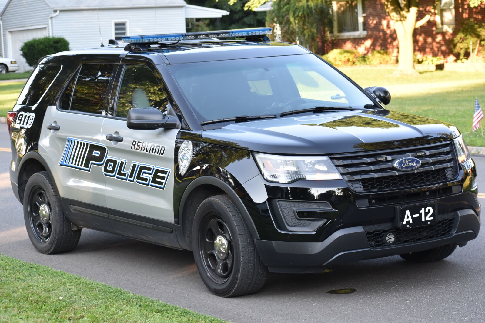 Nikon D5500 sample photo. Police car, police suv photography