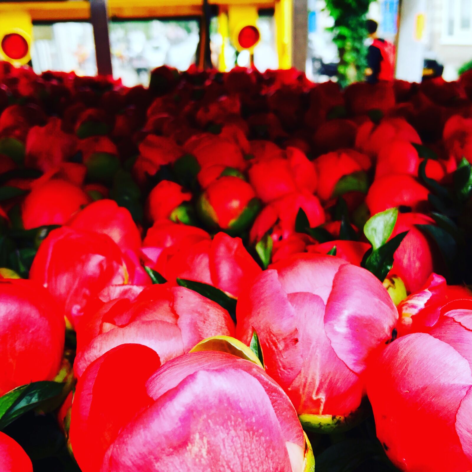iPhone 6 Plus back camera 4.15mm f/2.2 sample photo. Amsterdam photography
