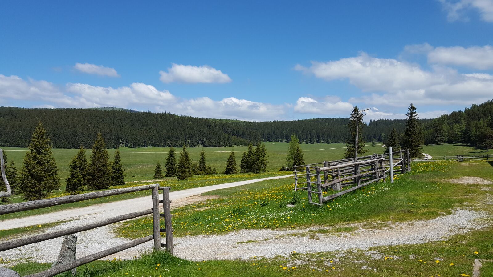 Samsung Galaxy S6 sample photo. Alm, meadow, landscape photography