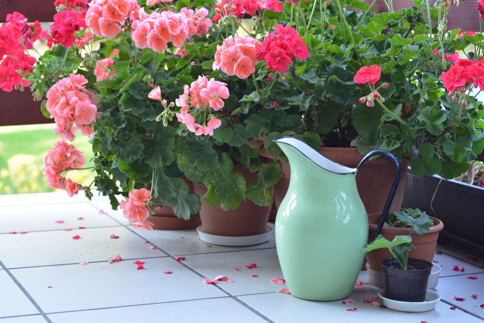 Nikon D5200 sample photo. Jug, metal pitcher, pitcher photography
