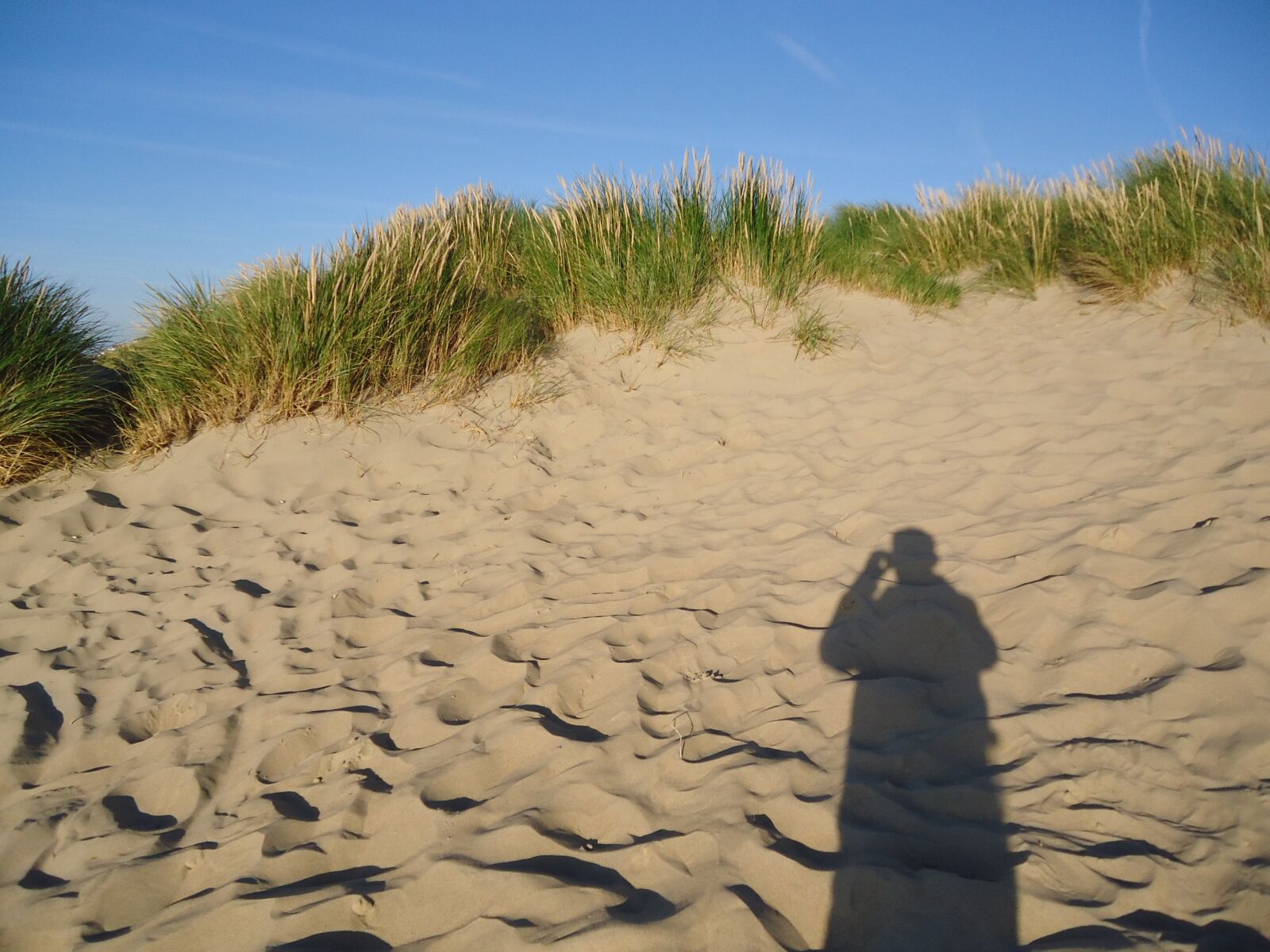 Sony Cyber-shot DSC-W610 sample photo. Summer, dunes, shadow photography