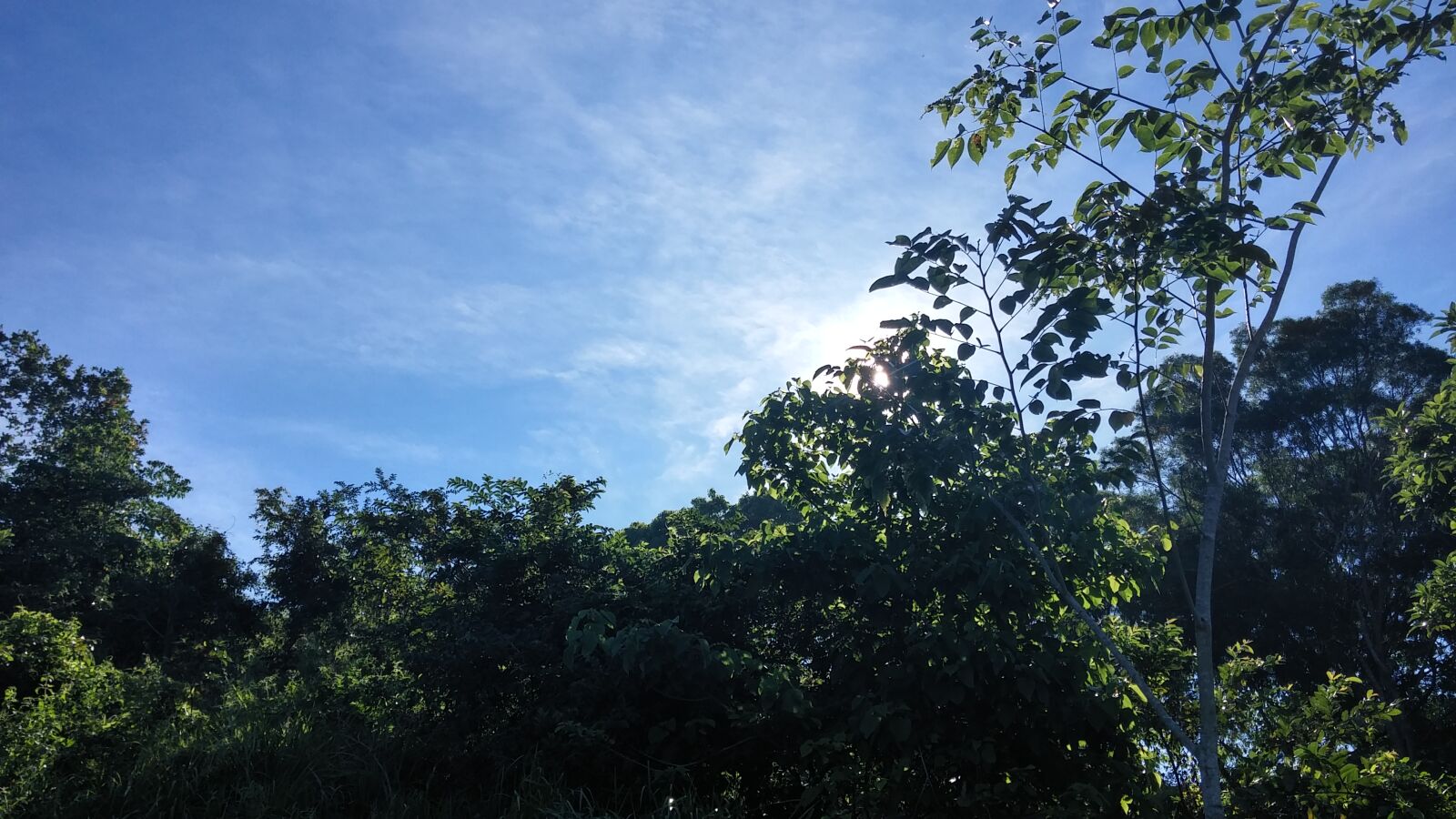 LG G3 CAT.6 sample photo. Blue, sky, forest, mountain photography