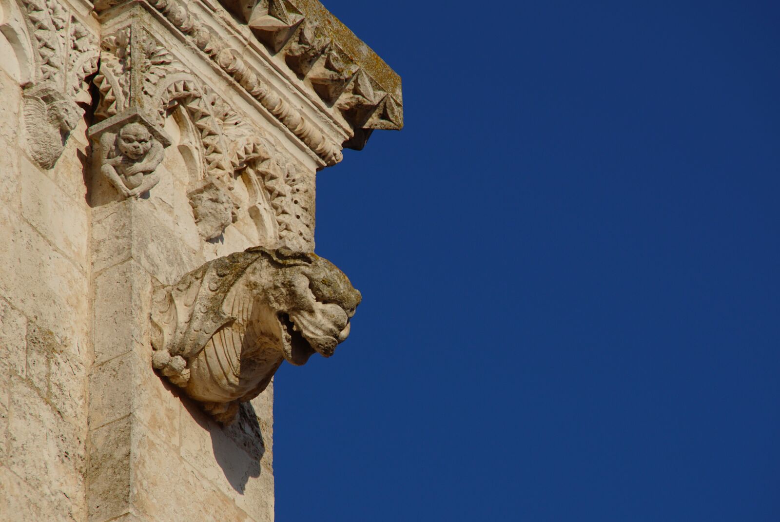 Sony DT 18-200mm F3.5-6.3 sample photo. Gargoyle, sculpture, monument photography