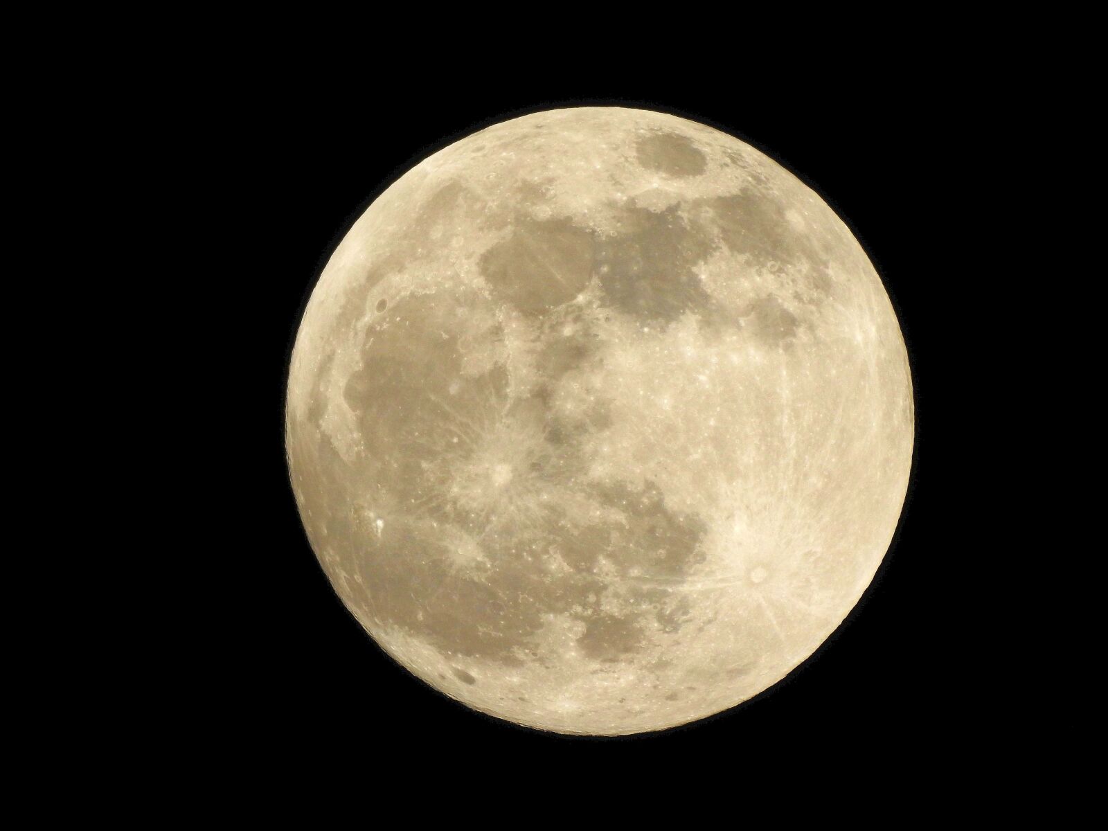 Nikon Coolpix P900 sample photo. Full moon, night photograph photography